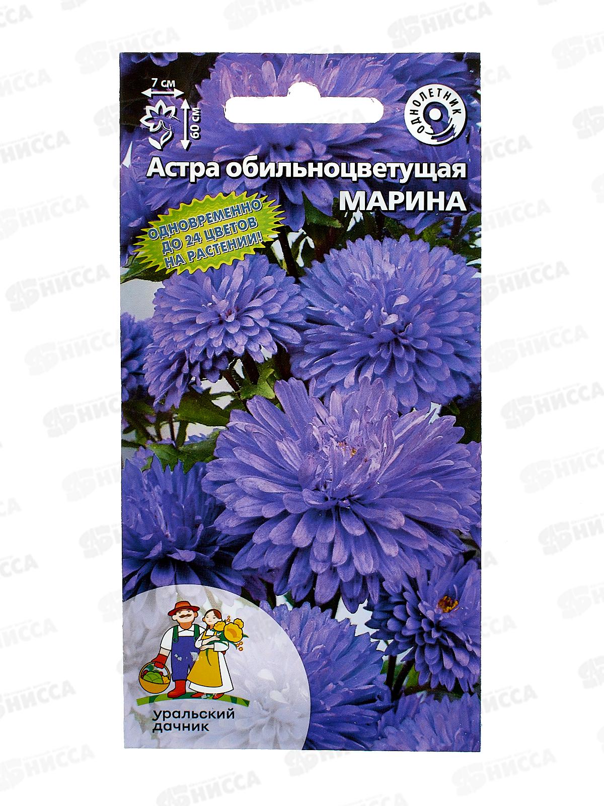 Астра Марина обильноцветковая Евро *10 УрД +