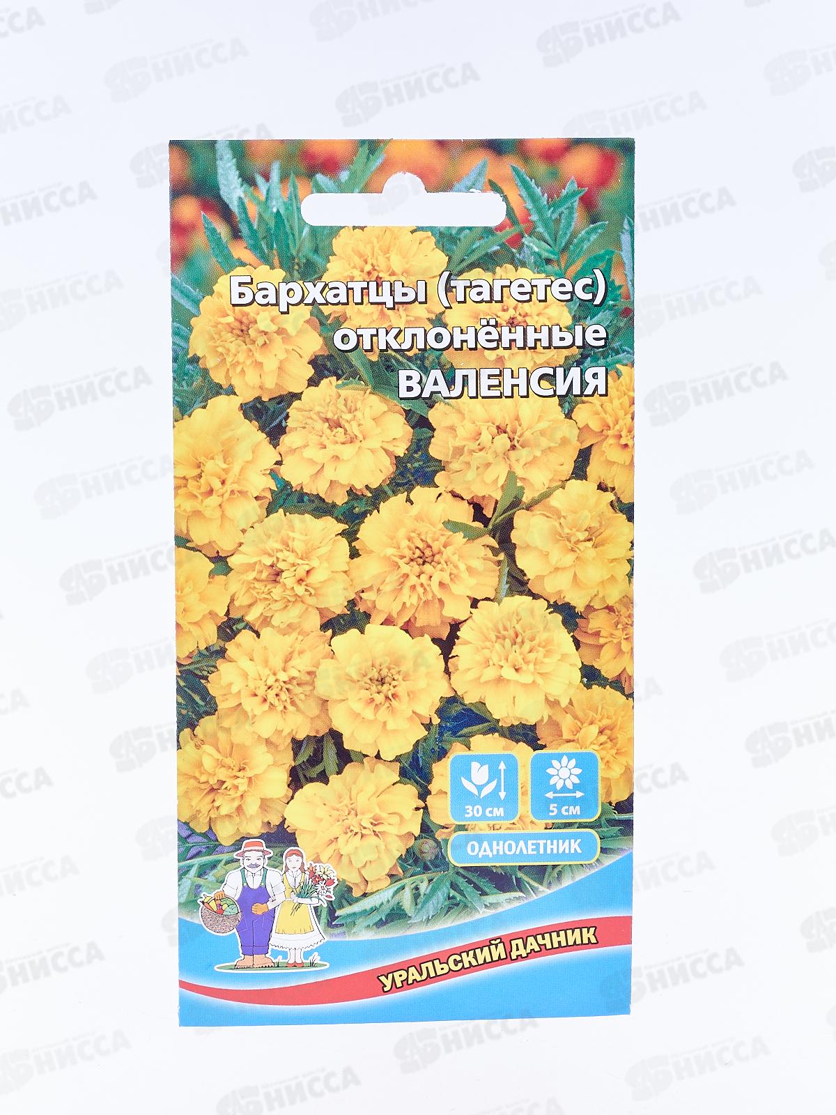 Бархатцы Валенсия отклоненные Евро *10 УрД +