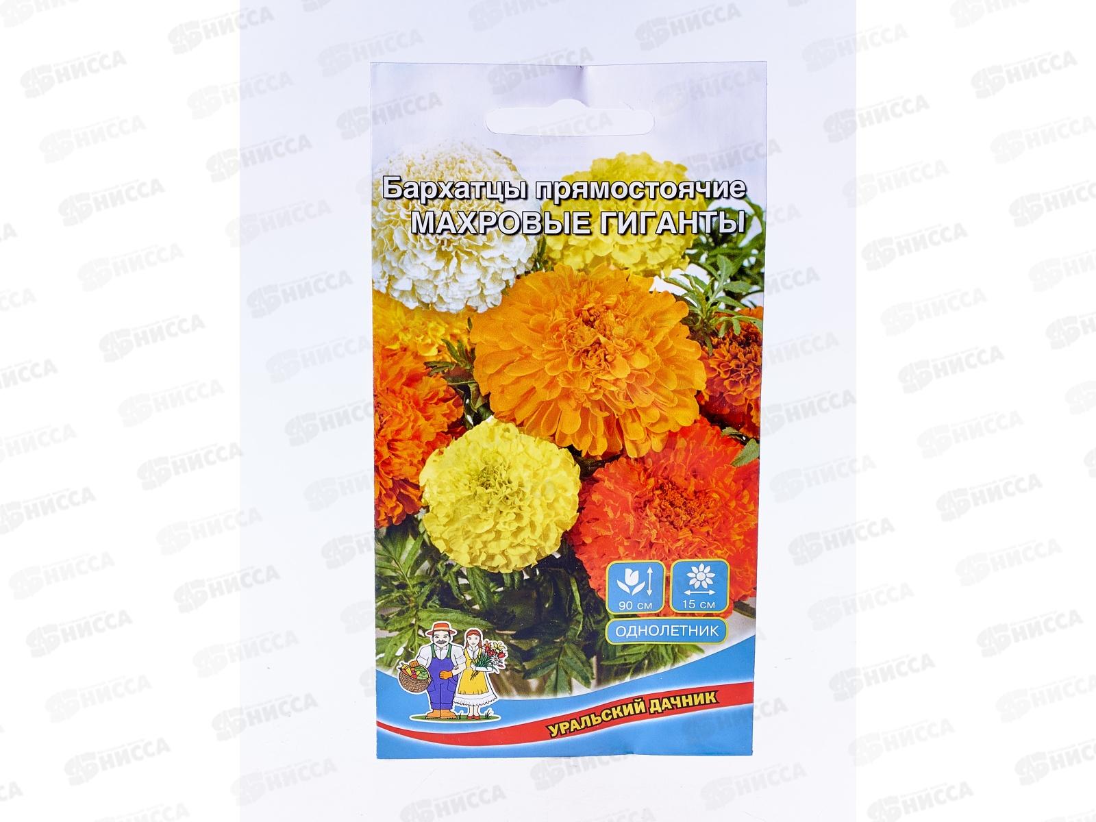 Бархатцы Махровые Гиганты Евро *10 УрД