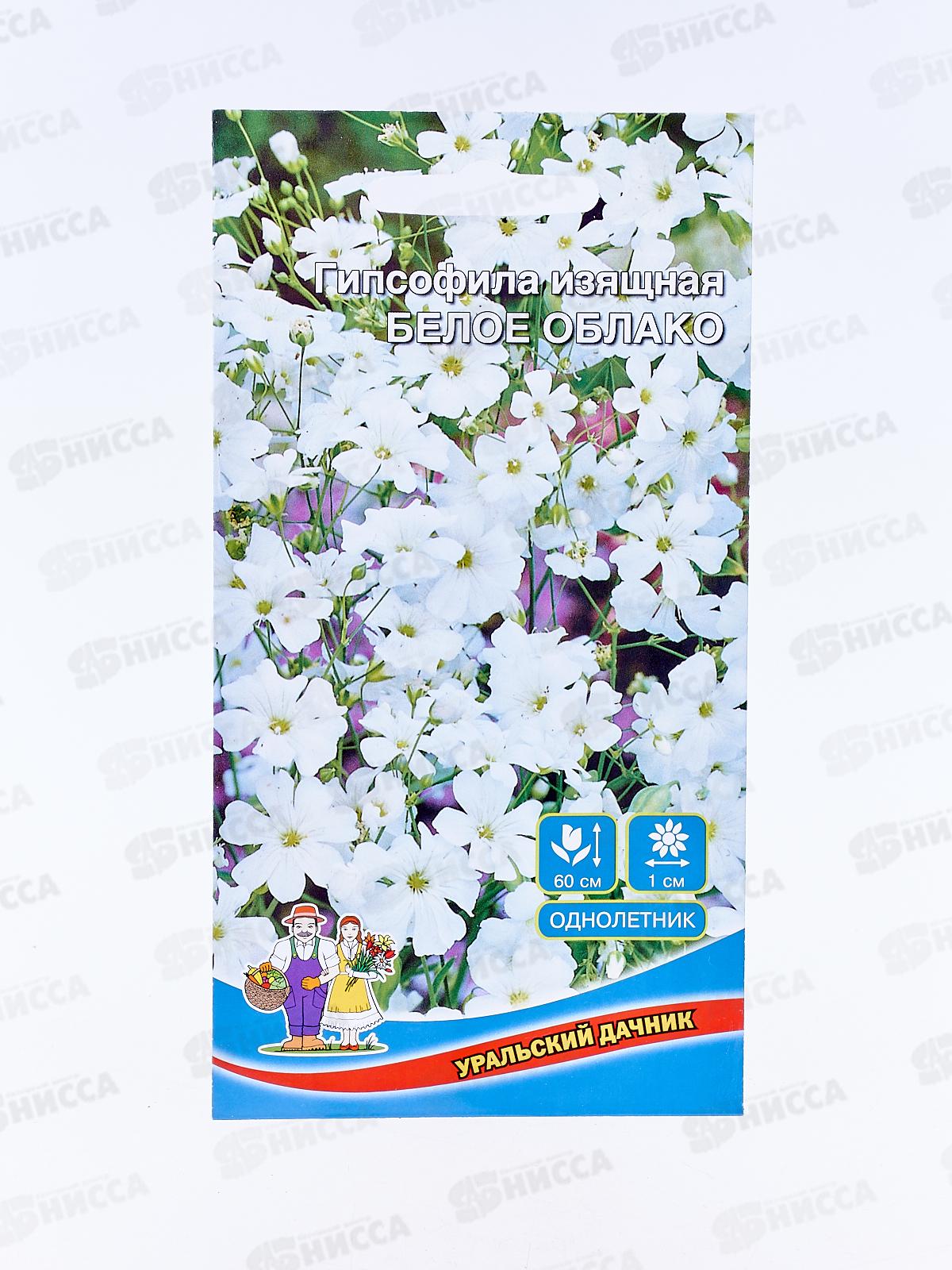 Гипсофила Белое облако Евро *10 УрД +