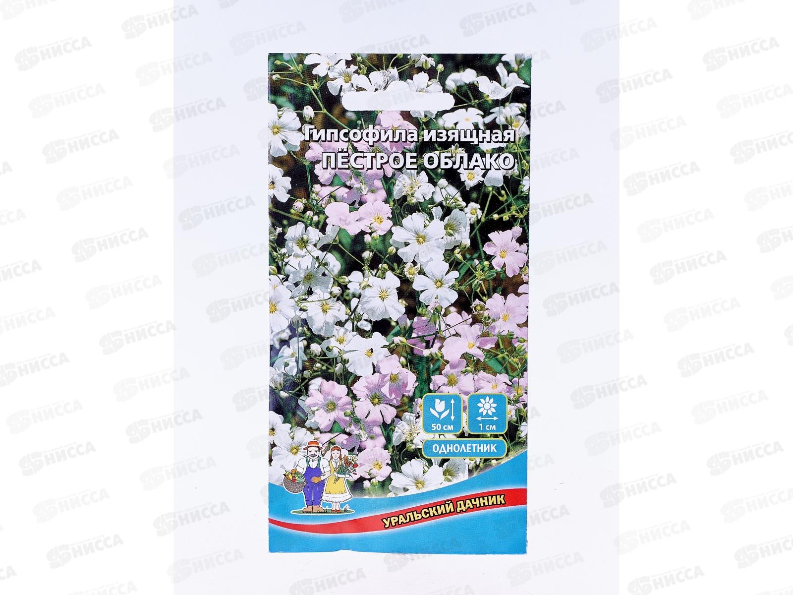 Гипсофила Пестрое Облако Евро *10 УрД +