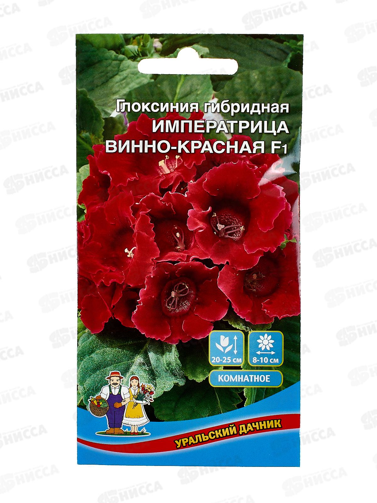 Глоксиния Императрица Винно-красная F1 Евро *10 УрД +