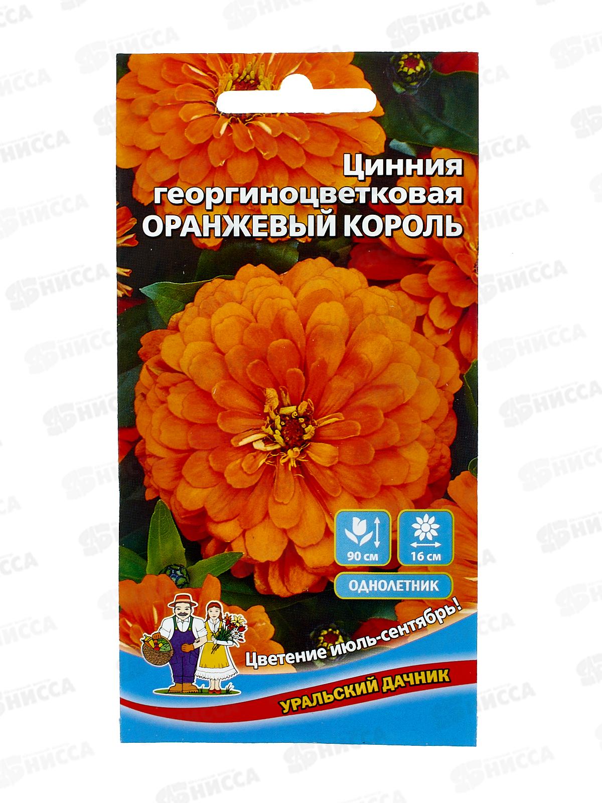 Цинния Оранжевый Король Евро георгиноцветковая *10 УрД +