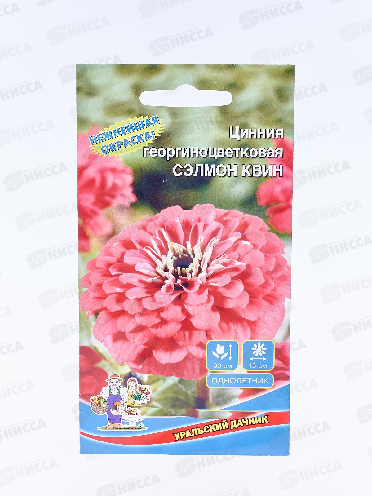 Цинния Сэлмон Квин Евро *10 УрД