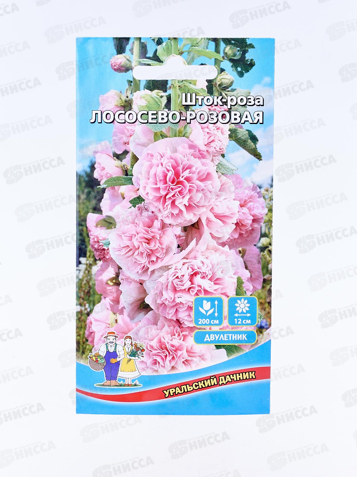 Шток-роза Лососево-розовая Евро *10 УрД