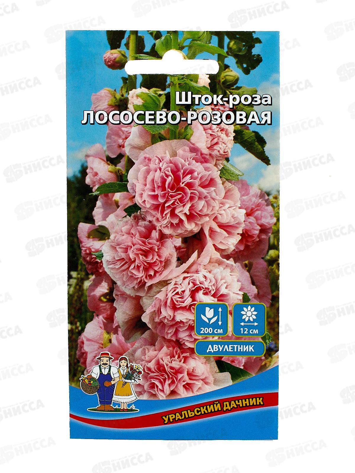 Шток-роза Лососево-розовая Евро *10 УрД +