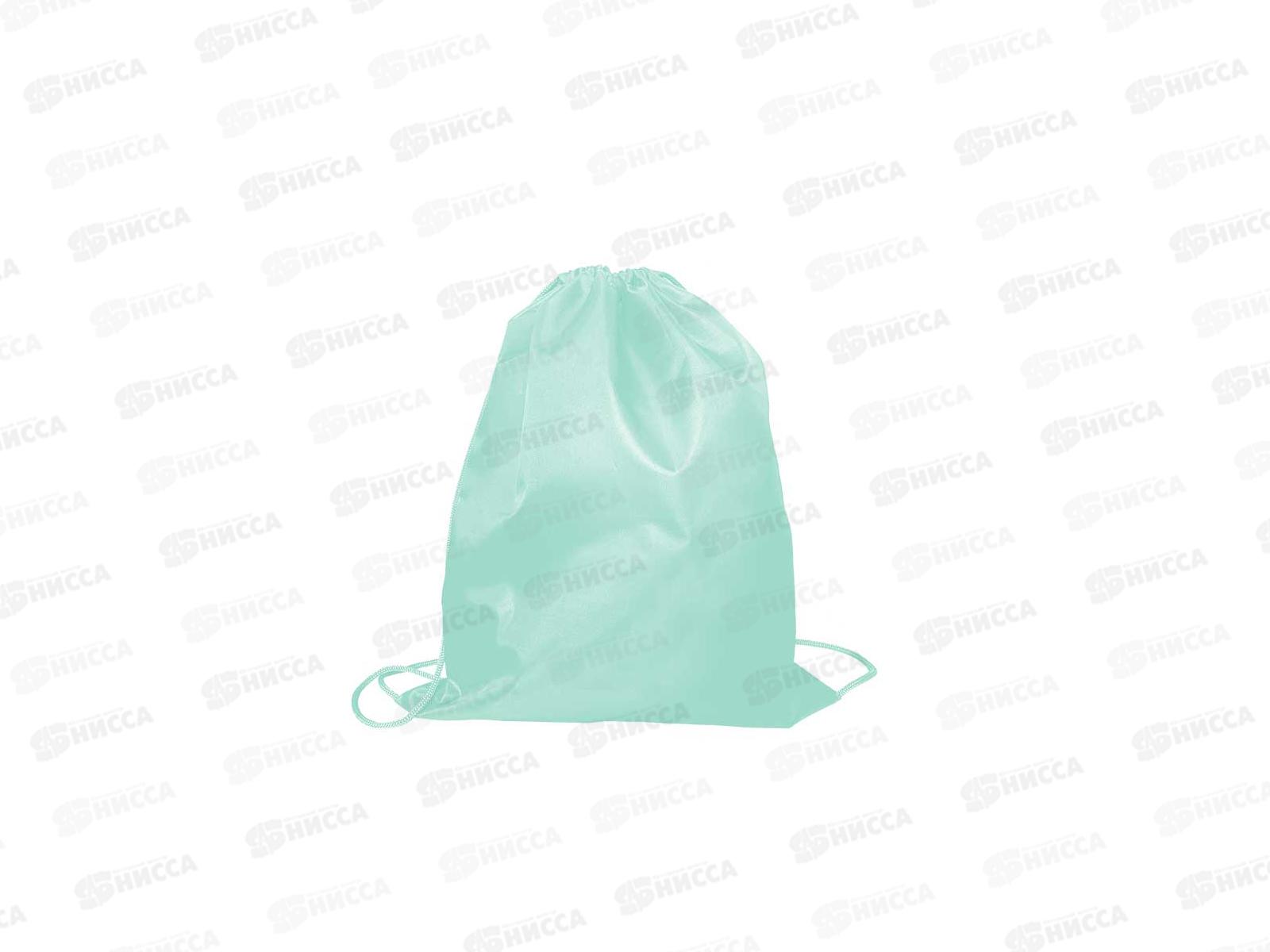 Сумка для сменной обуви ПЧЕЛКА мятная, СДС-1 *50