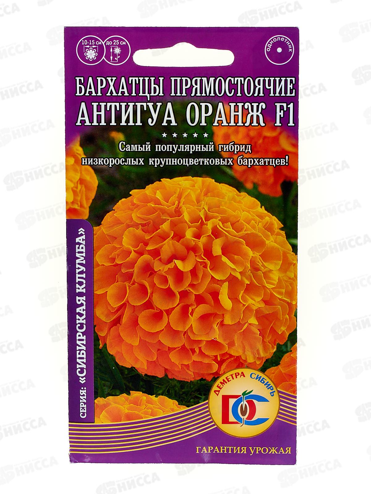 Бархатцы Антигуа оранж прямостоячие F1 (5шт) ДемСиб*5