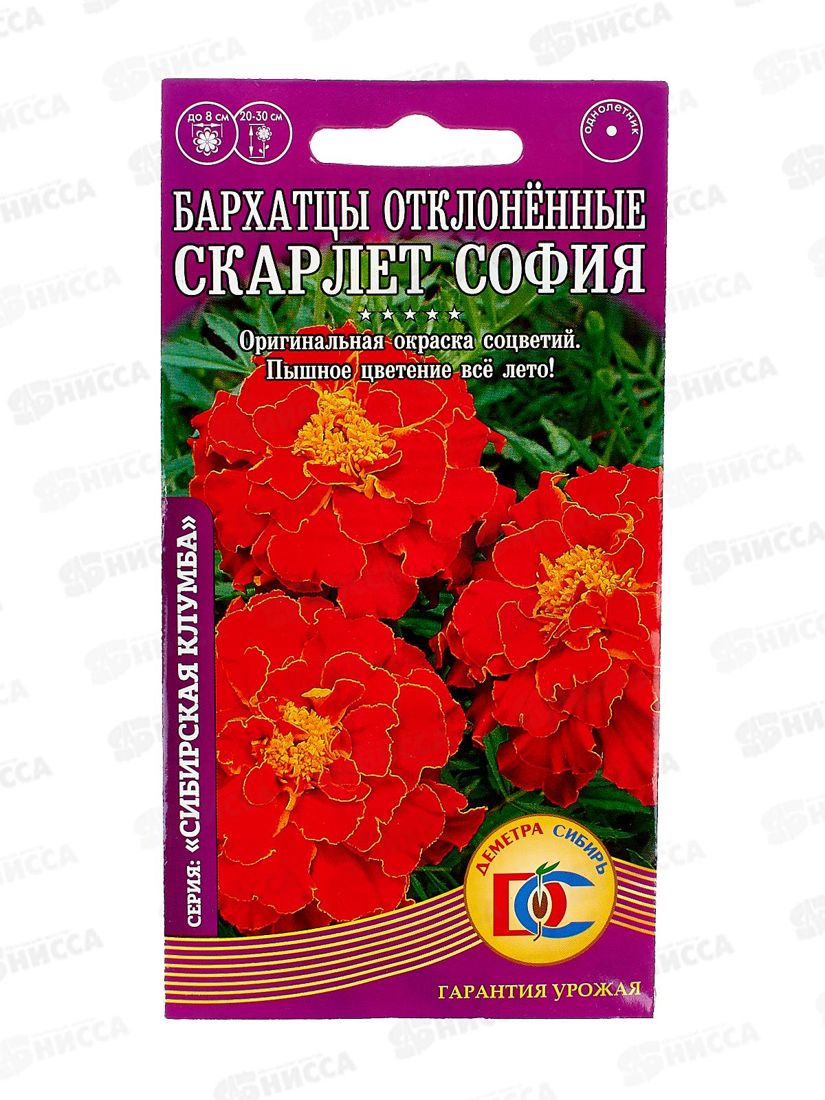 Бархатцы София отклоненные махровые (0,2гр) ДемСиб