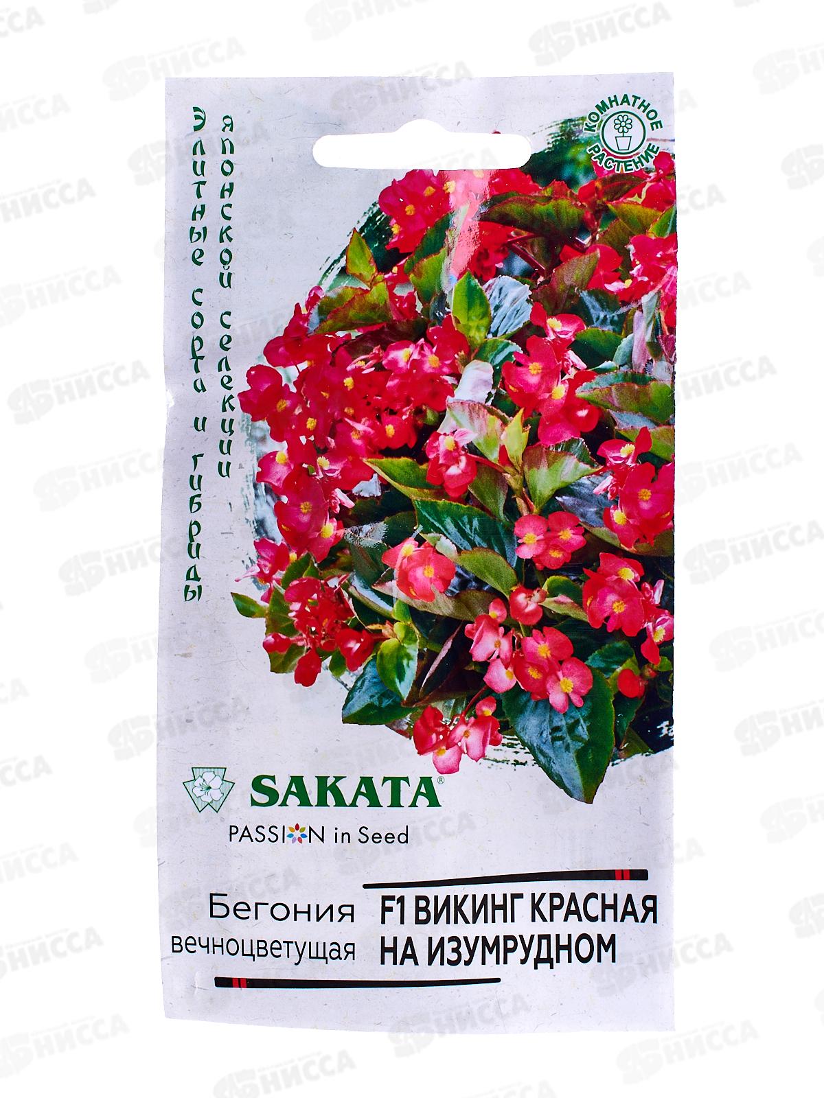 Бегония Викинг красная на изумруд F1 гранул 4шт пробир *5 ГШ +