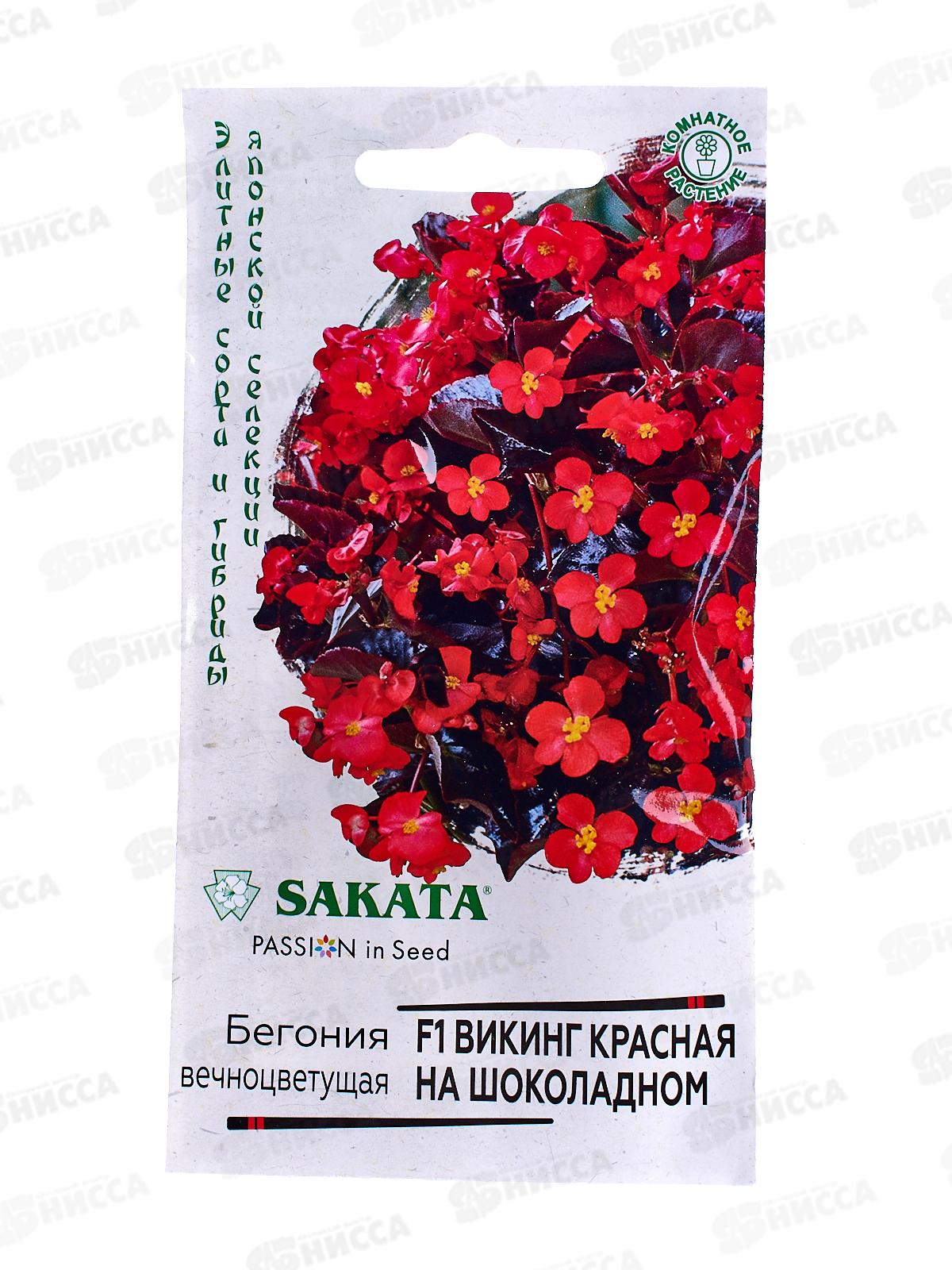 Бегония Викинг красная на шоколадном F1 гранул 4шт пробир *5 ГШ +