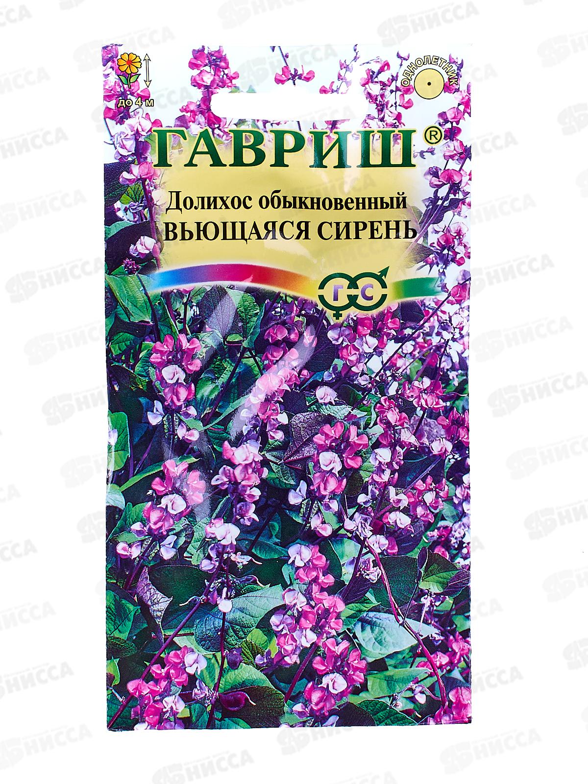 Долихос Гиацинтовые бобы Вьющаяся сирень 4шт *10 ГШ +