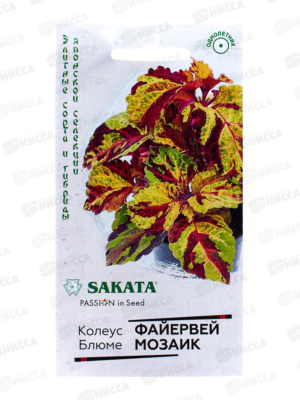 Колеус Файервей Мозаик 4шт *10 ГШ