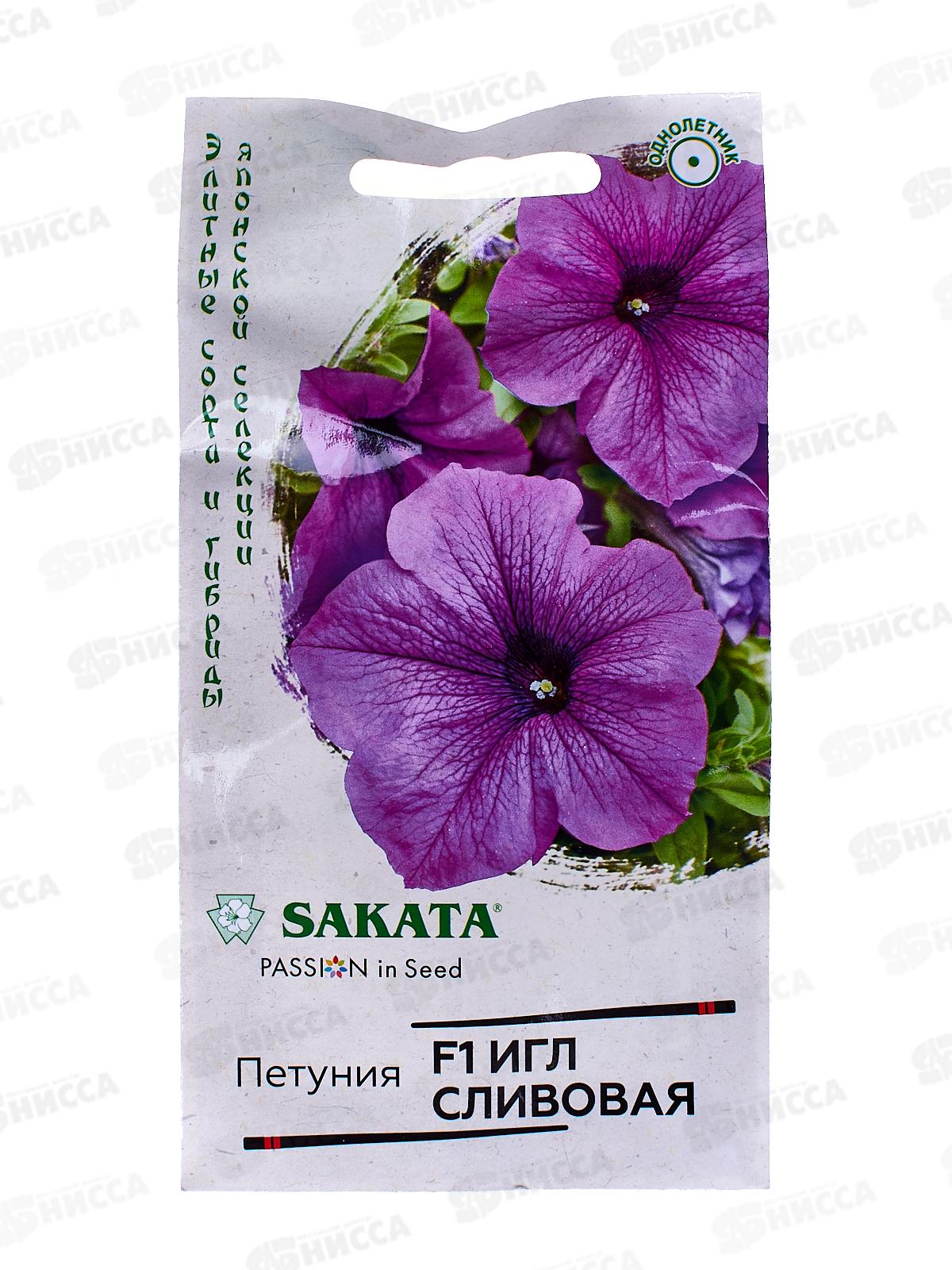 Петуния Игл сливовая F1 5шт в пробирке *10 ГШ