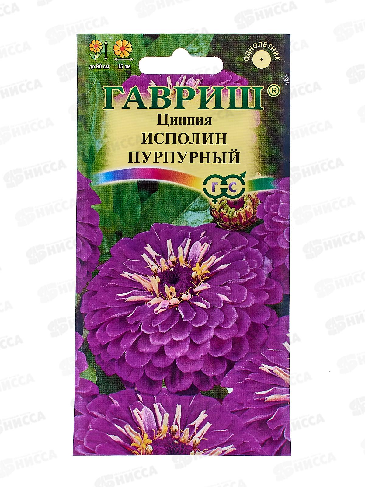 Цинния Исполин пурпурный 0,3г  *10 ГШ +
