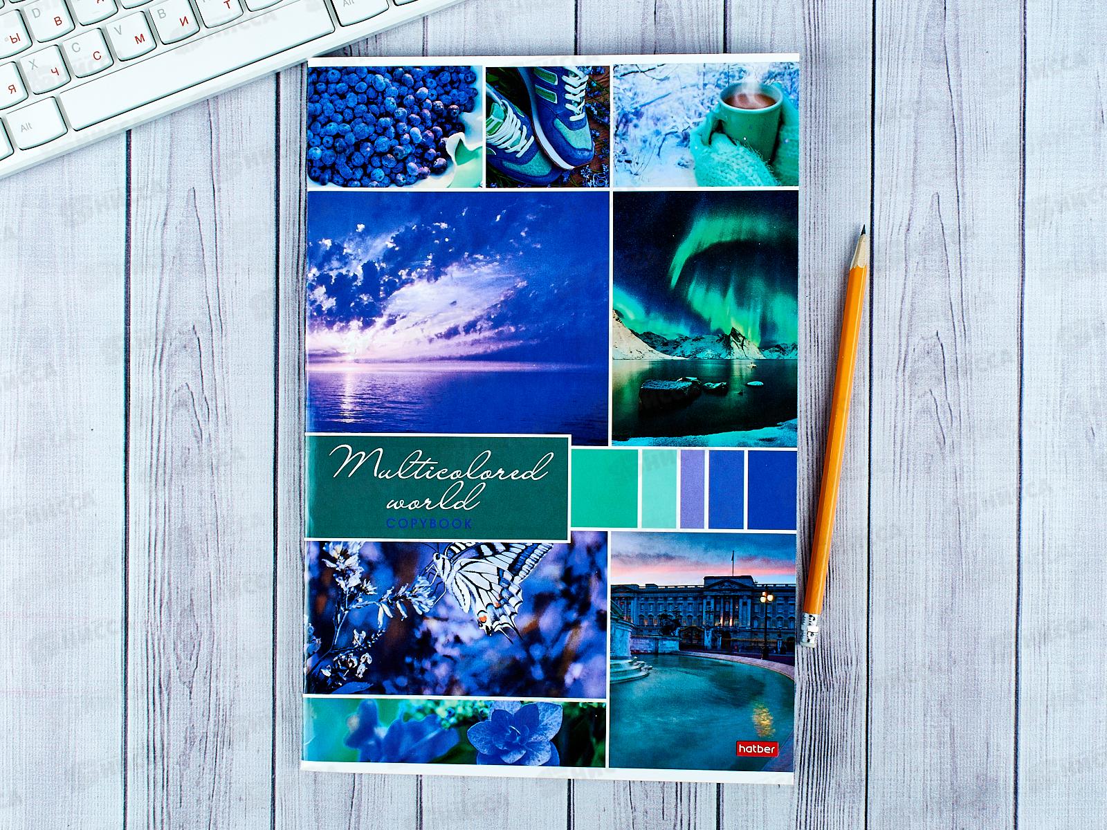 Тетрадь 96листов клетка Hatber А4 Разноцветный мир *3/24