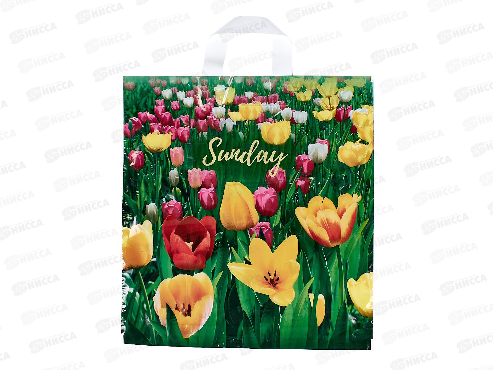 Пакет  сумка 40*42 Поле тюльпанов *25/500