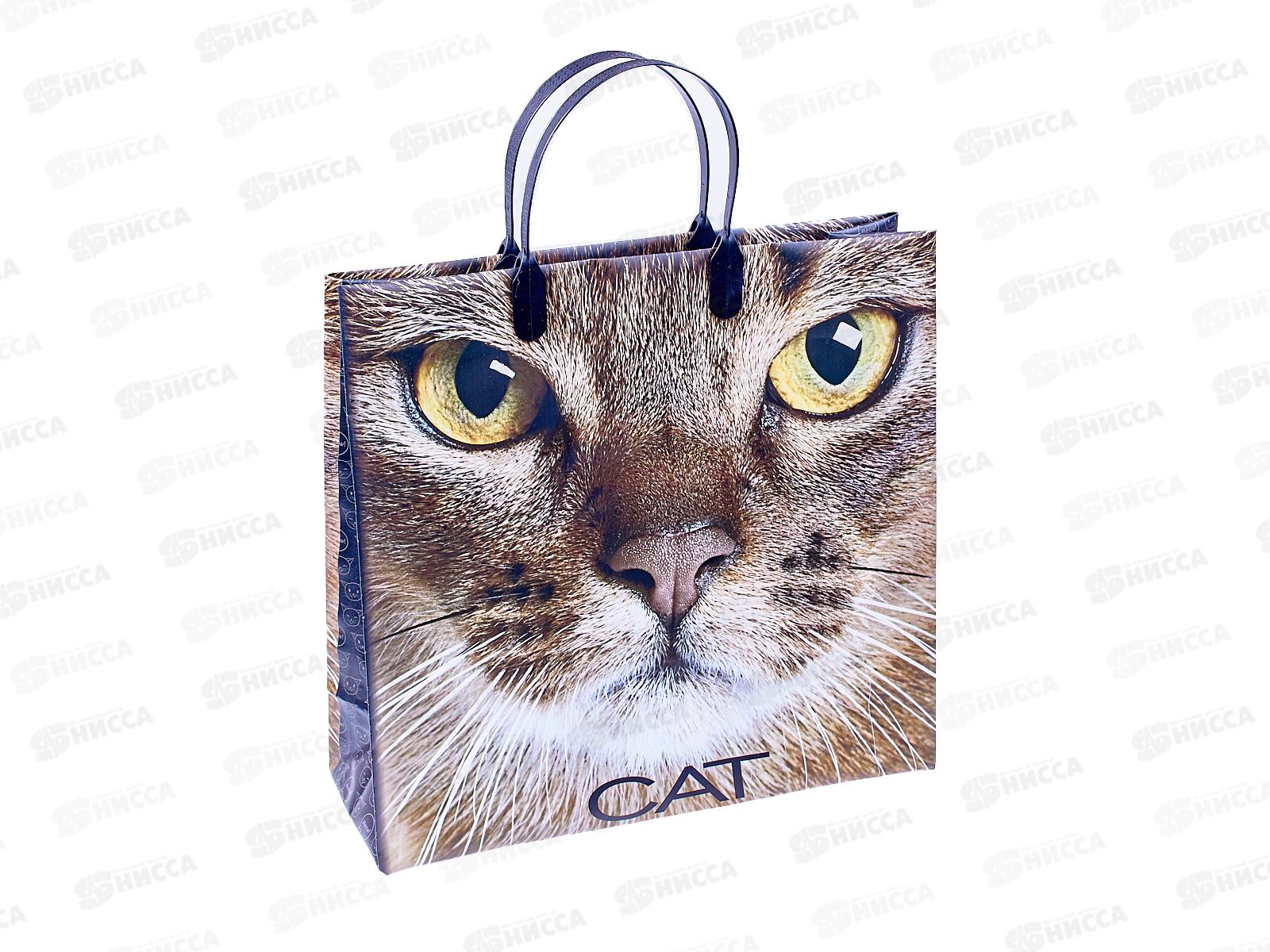 Сумочка пластик мягкий 30*30 Кэт *40