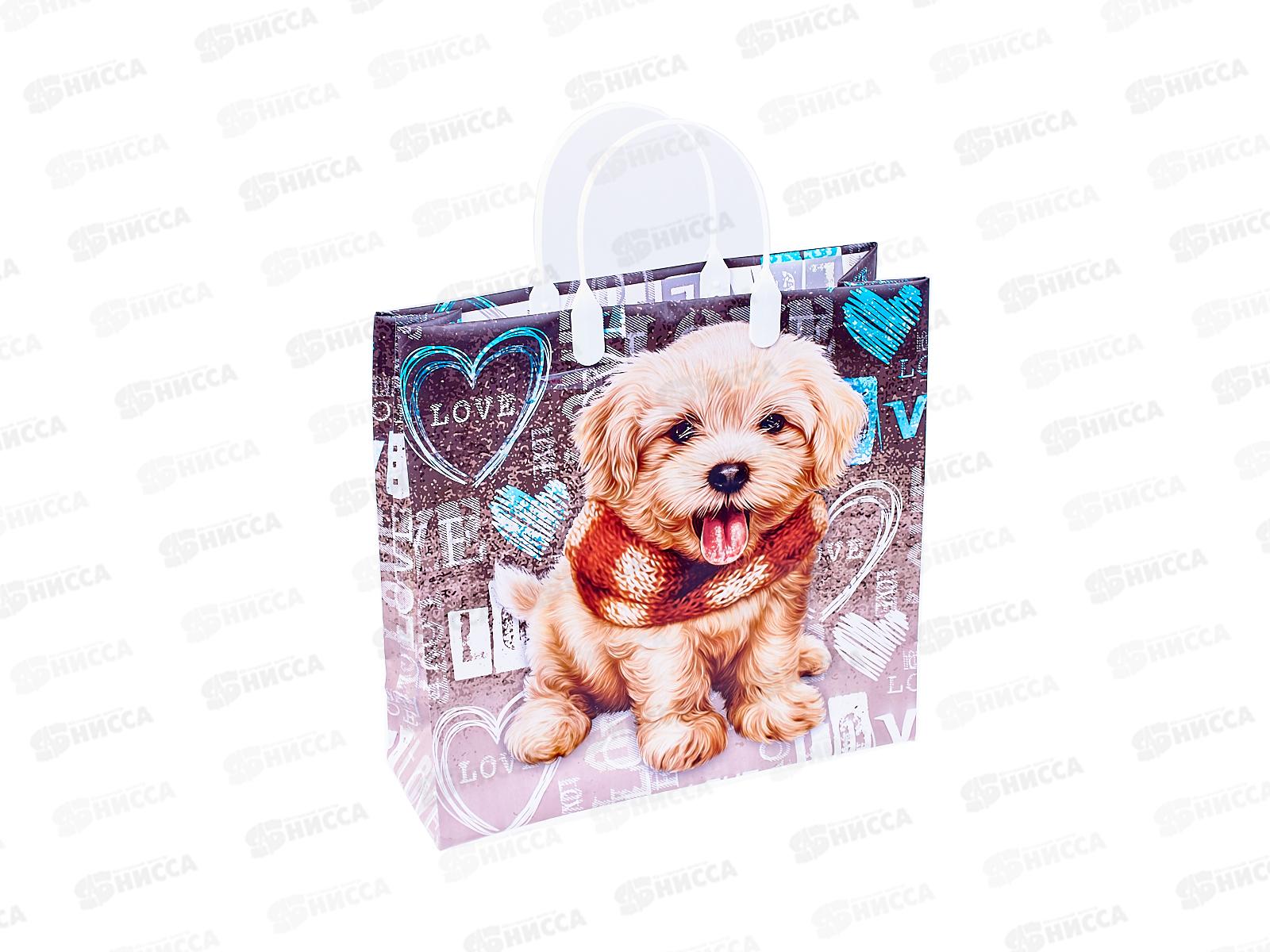 Сумочка пластик мягкий 30*30 Любимчик *40