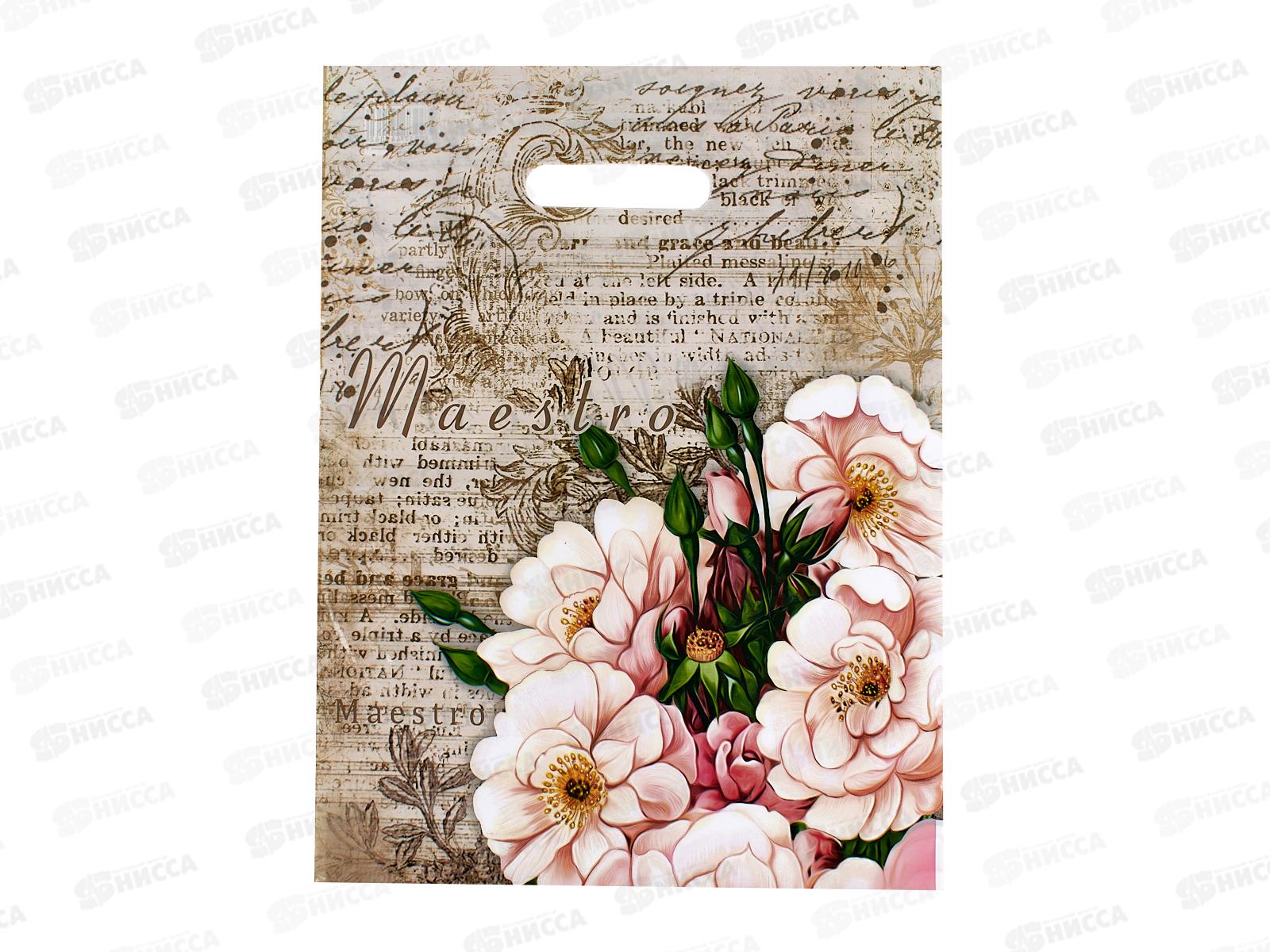 Пакет пробивной 31*40  Маэстро *50/500