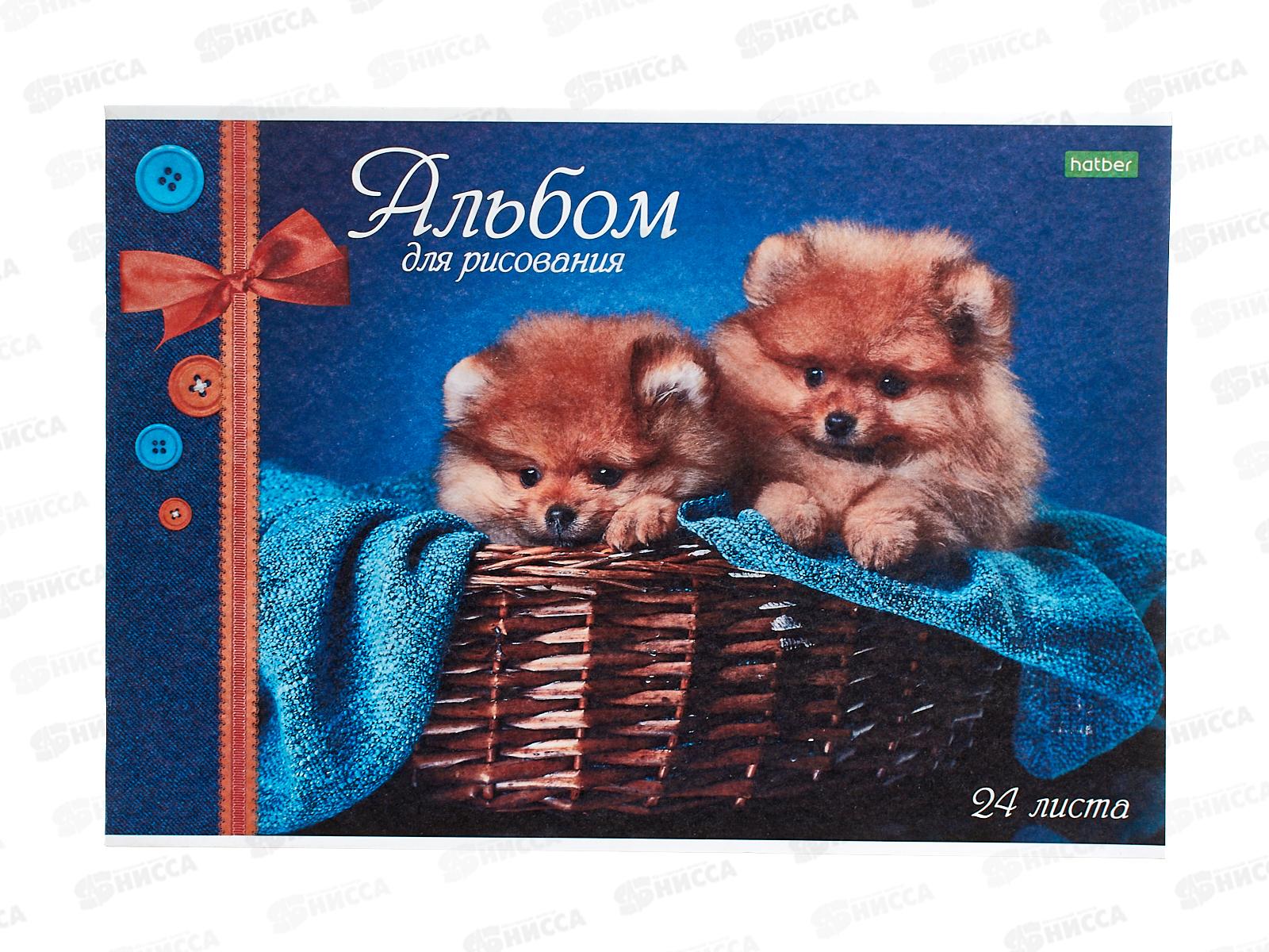 Альбом для рисования 24 листов  Hatber ассорти *55