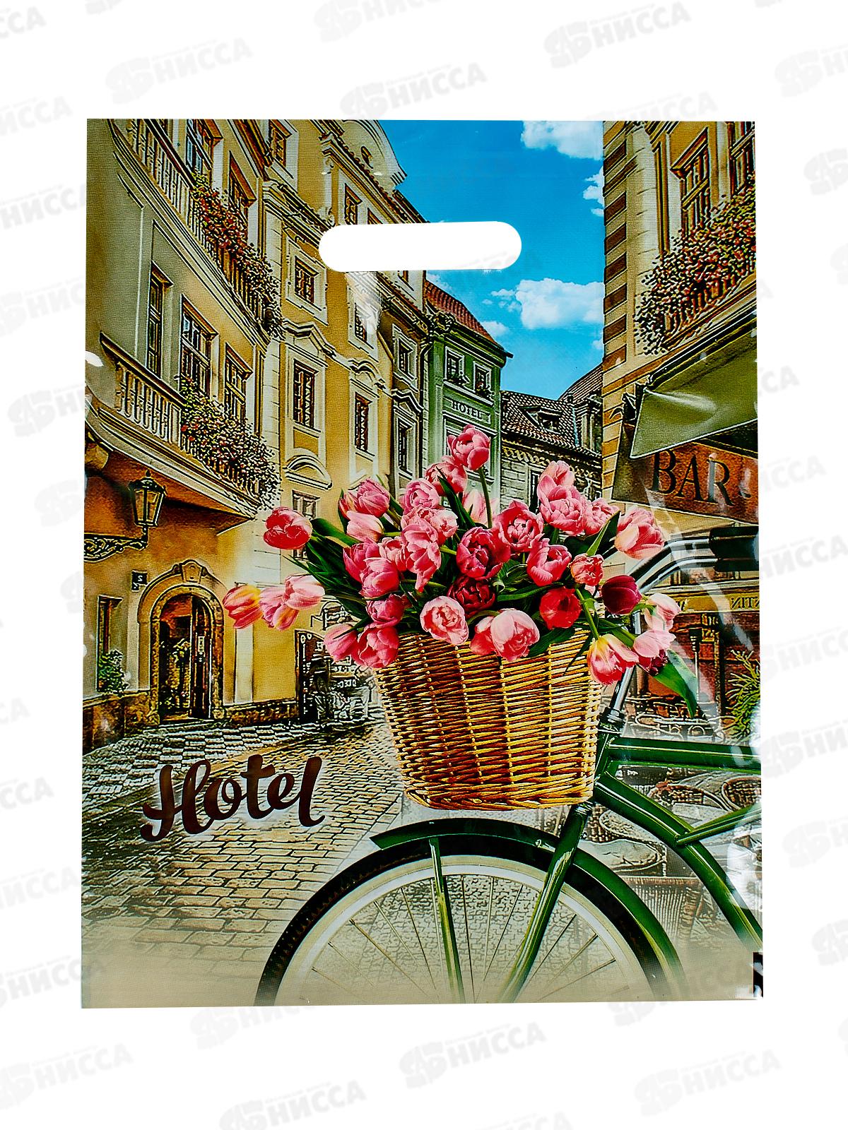 Пакет пробивной 31*40  Отель *50/500