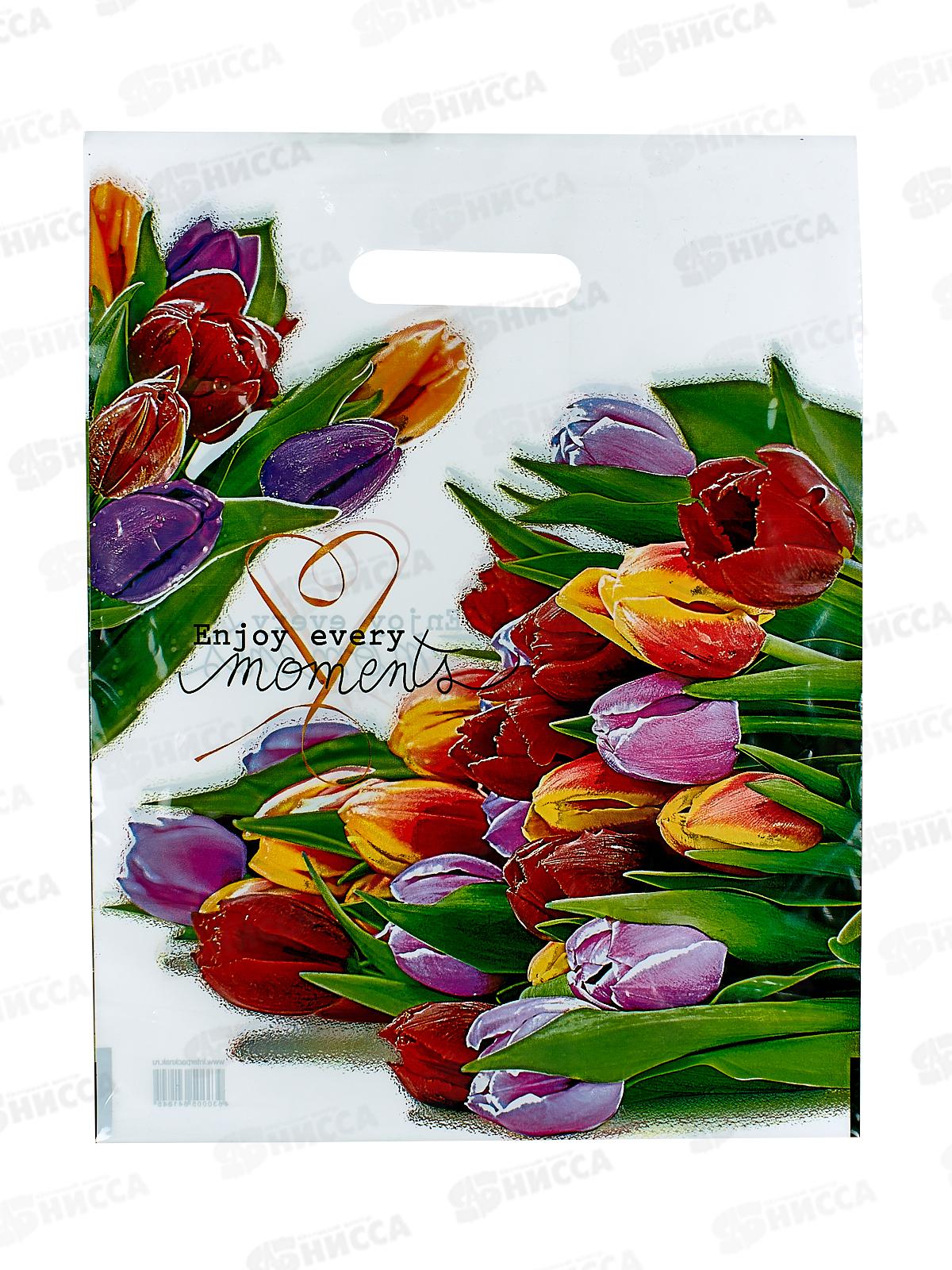 Пакет пробивной 31*40  Этюд *50/500