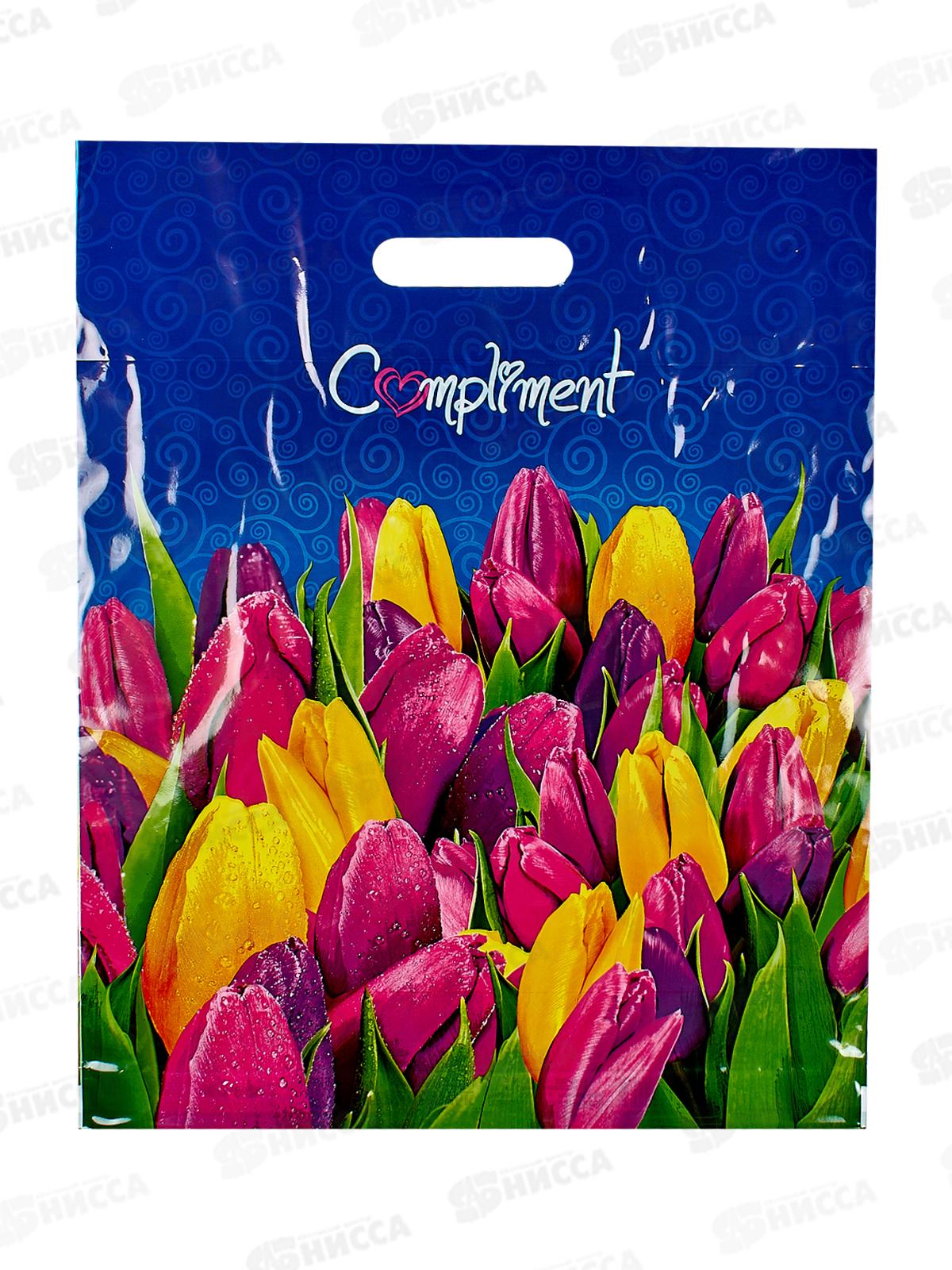 Пакет пробивной 38*47 Комплимент *50/500