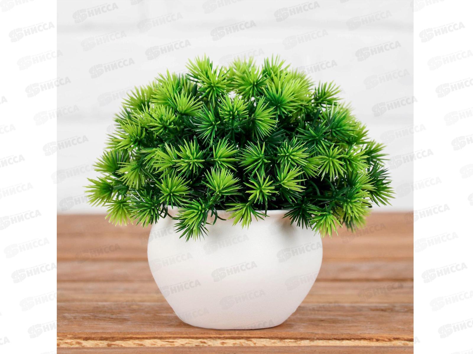 Бонсай в горшке &quotПушистые колючки&quot 9*13см микс 4457610