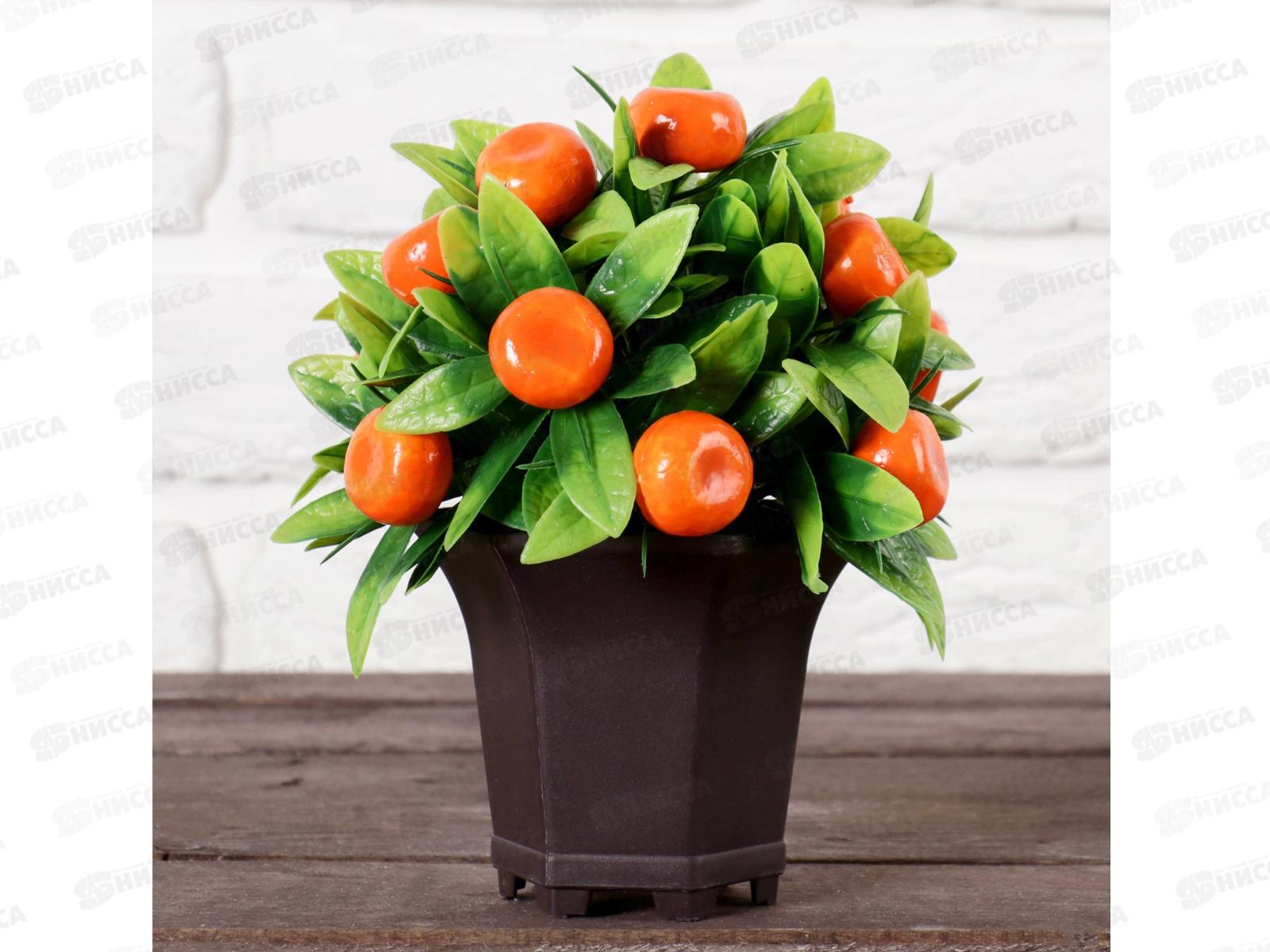 Бонсай в горшке &quotМандариновый куст&quot 13*18см 4555659