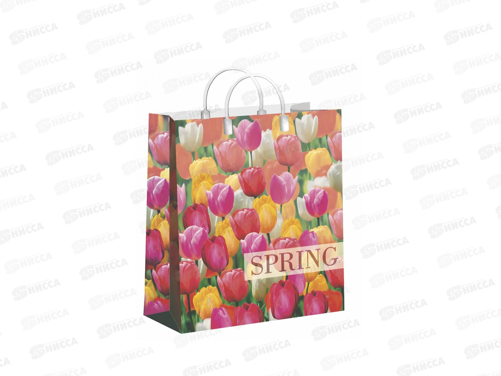 Сумочка пластик мягкий 23*27 Пора тюльпанов *40