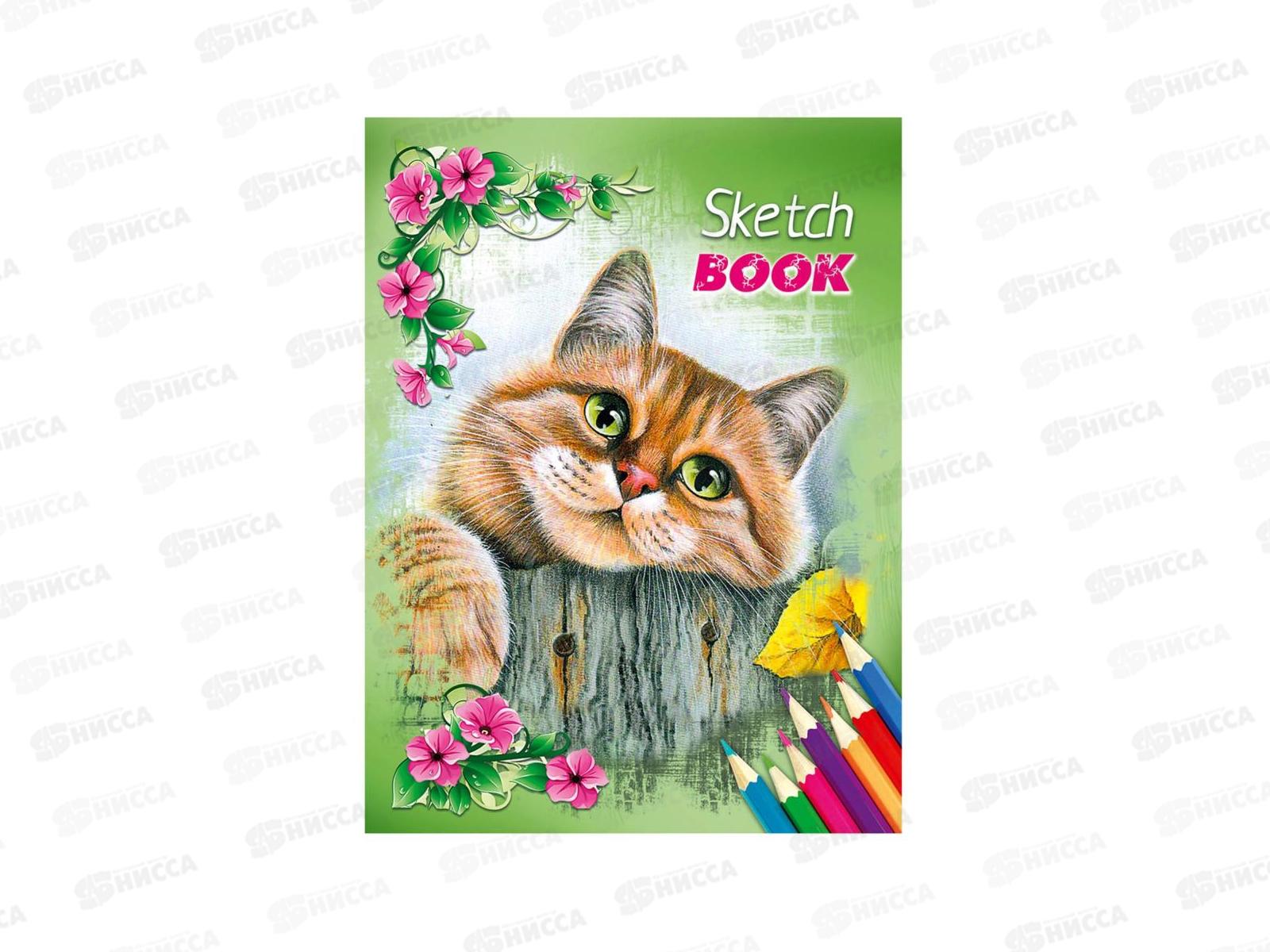 Блокнот (скетчбук) 36л Кошки *12