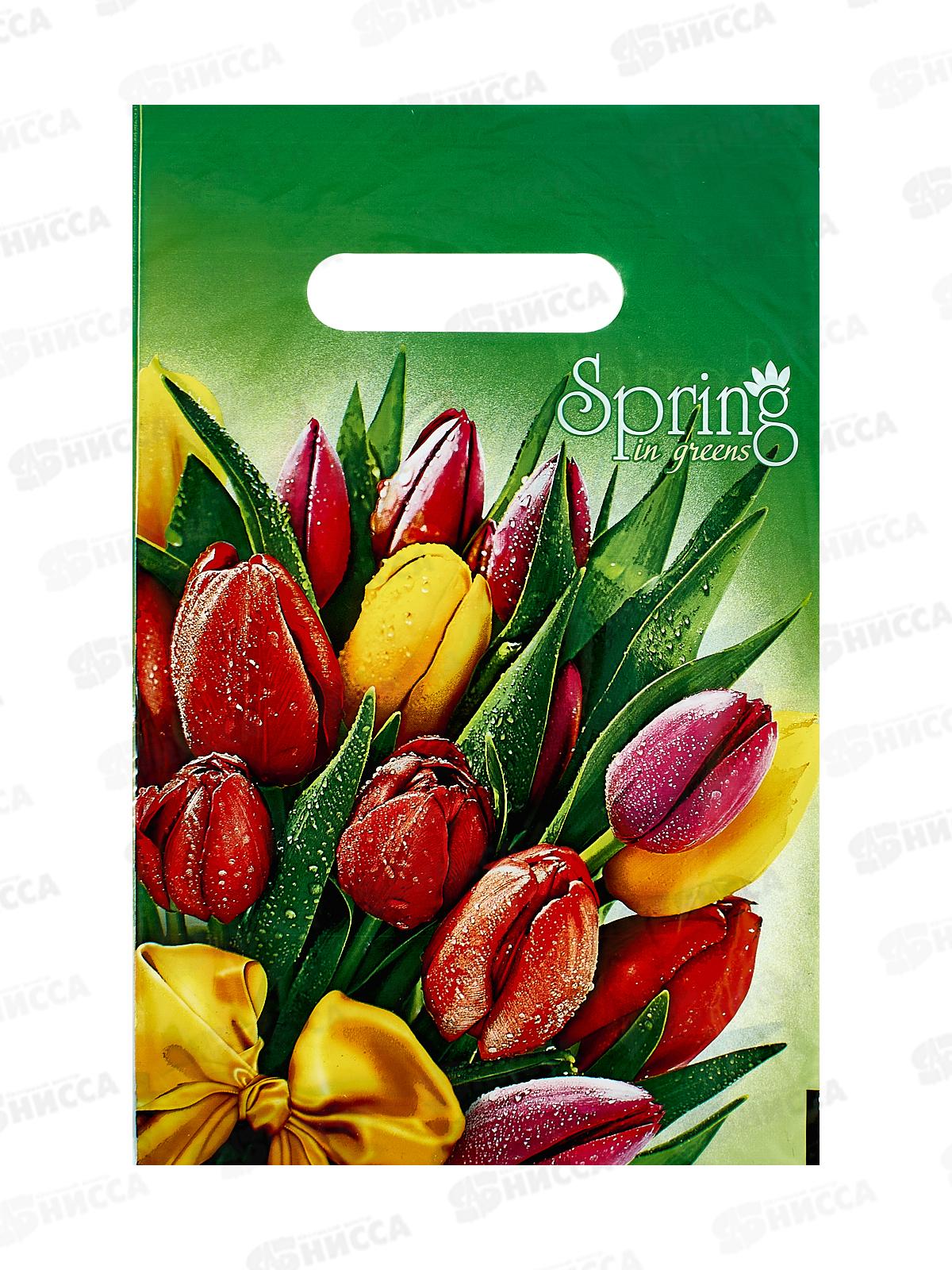 Пакет пробивной 20*30 Весна МЕЛКИЙ *100/2000