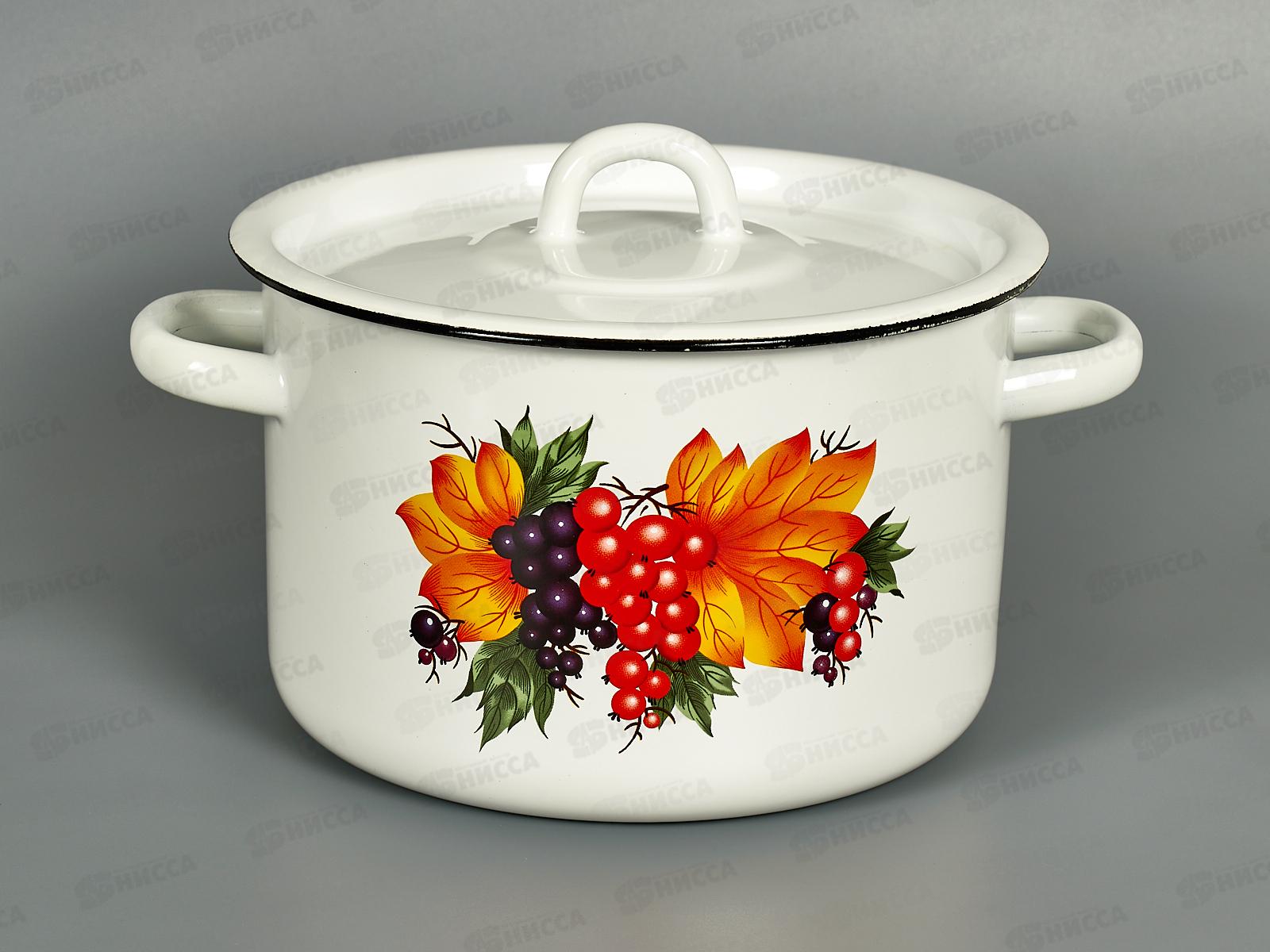 Кастрюля 3,0л эмалированная 01-1612/4 Смородина *4