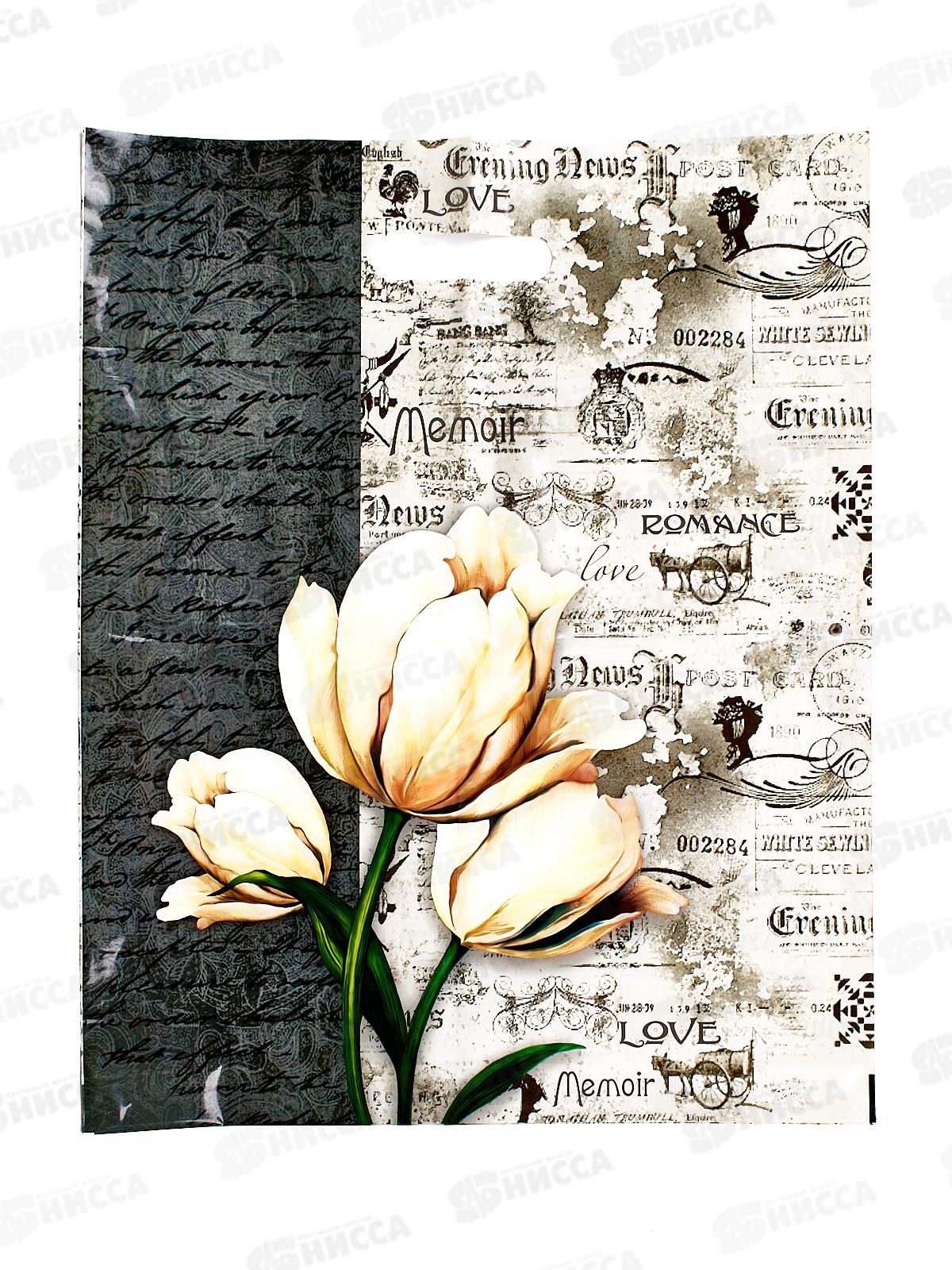 Пакет пробивной 38*47 Мемуары *50/500