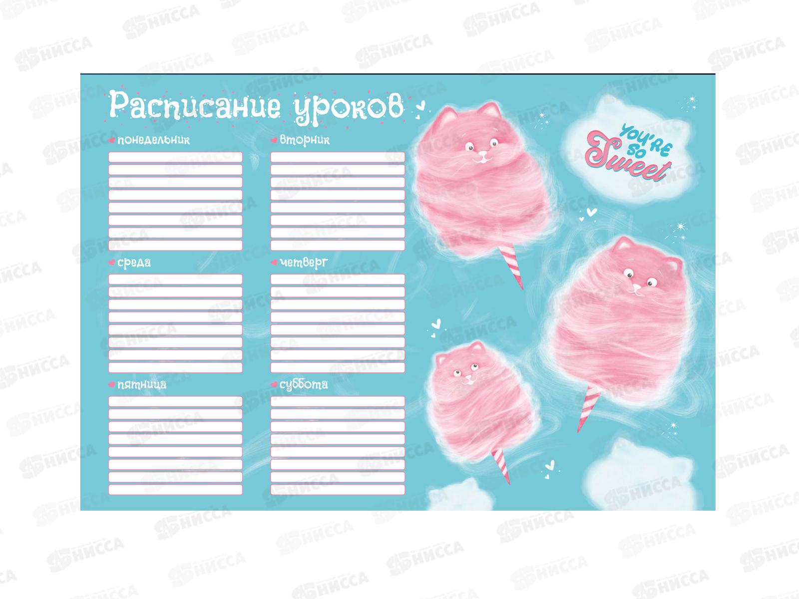 Расписание уроков А4 ФЕН Котоваты,60350 *100