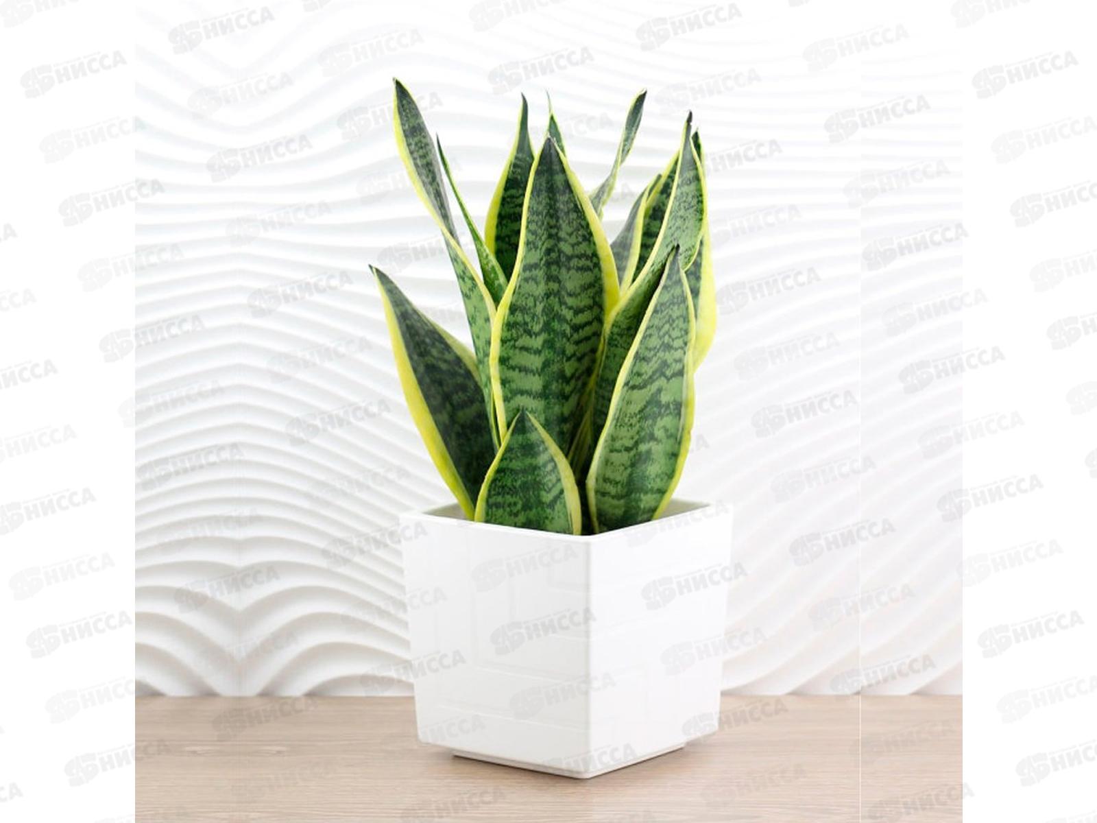 Горшок для цветов Квадро 6,6л Белый (с вкладкой) *6