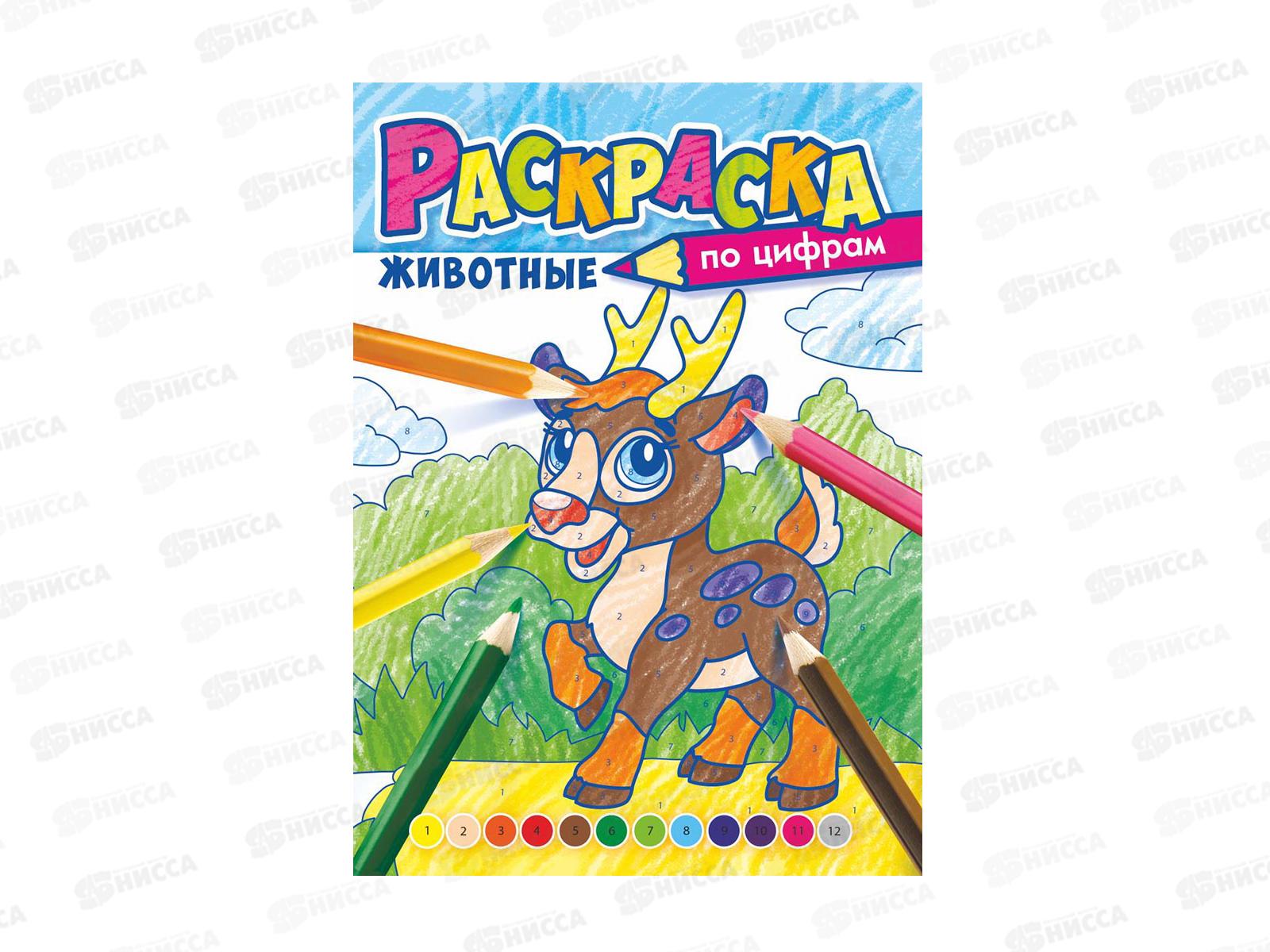 Раскраска по цифрам ЛиС А4 В мире животных, РКСЦ-007 *50