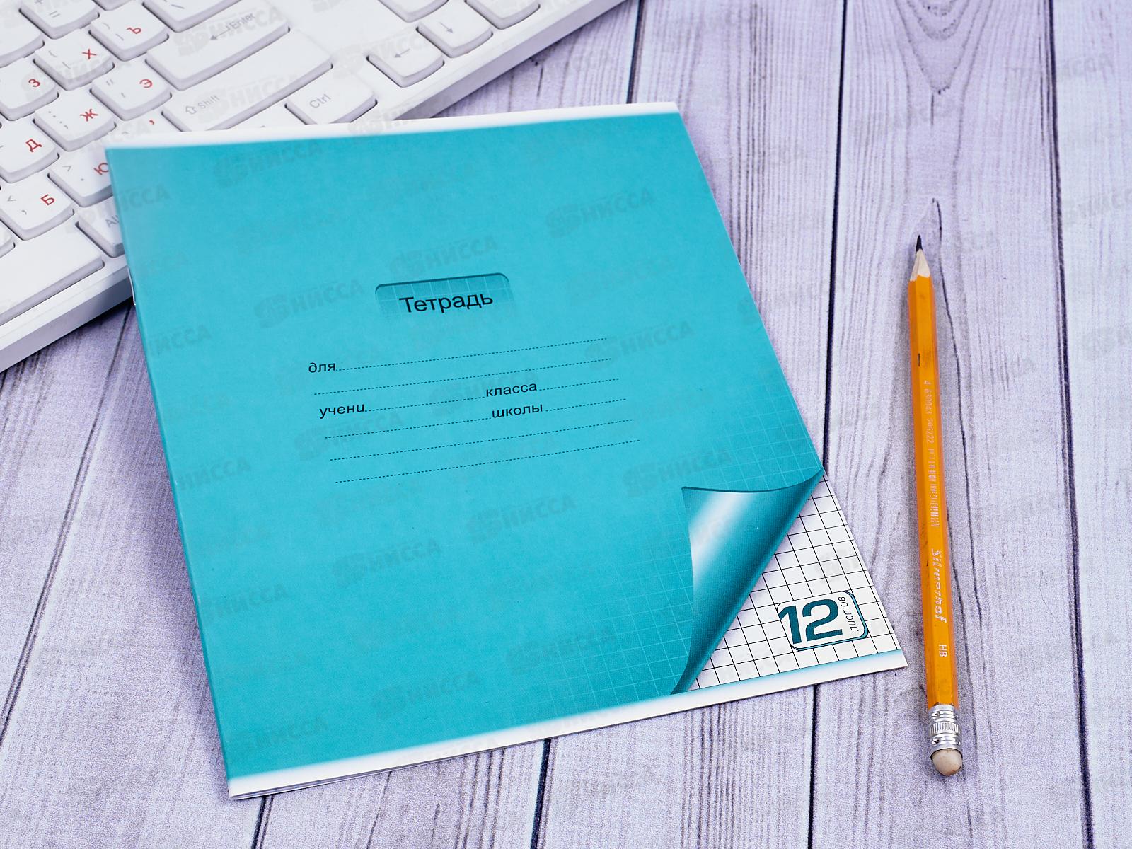 Тетрадь 12 листов клетка. ПЗБМ Цветная с уголком,019895 *20/240