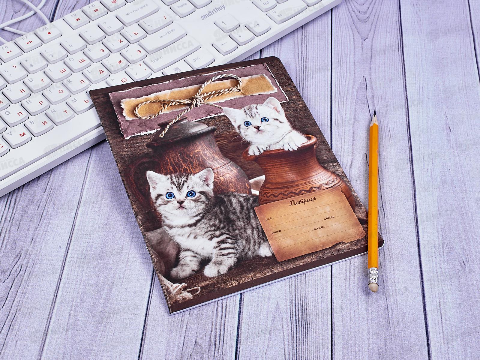 Тетрадь 24листа линия ПЗБМ Кот и пес 019230 *20/140