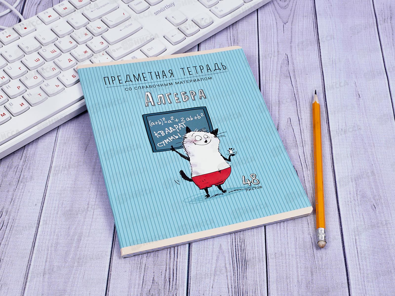 Тетрадь 48 листов клетка ПЗБМ Приключения кота Пифа-Алгебра 029791*5/50