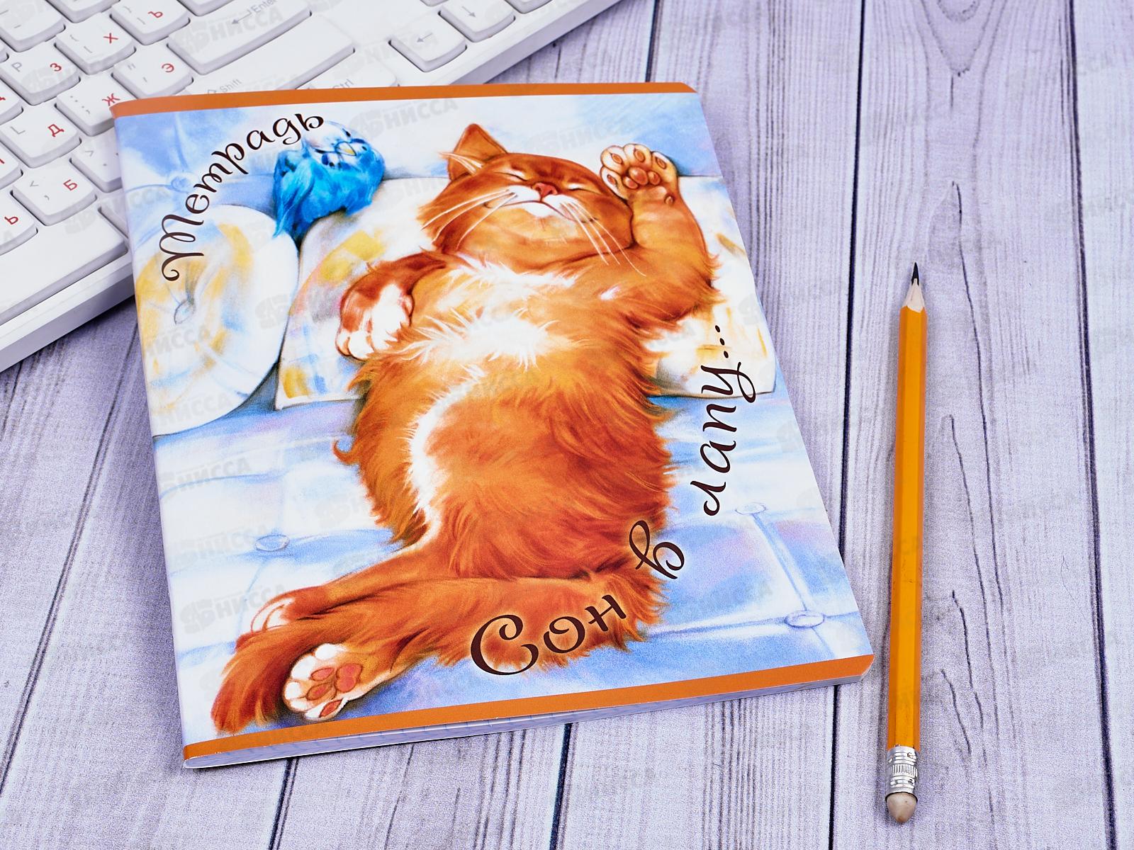 Тетрадь 48 листов клетка. ПЗБМ Что я,рыжий,что ли!029192*5/50