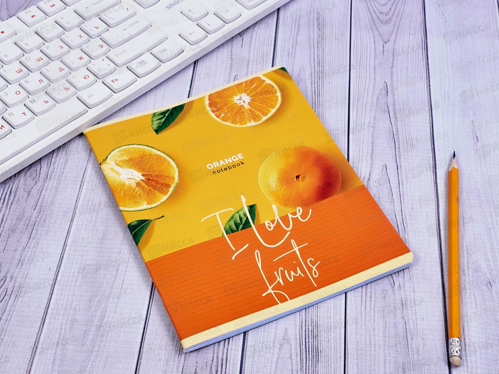 Тетрадь 48 листов клетка. ПЗБМ ЗОЖигай,028481*5/50