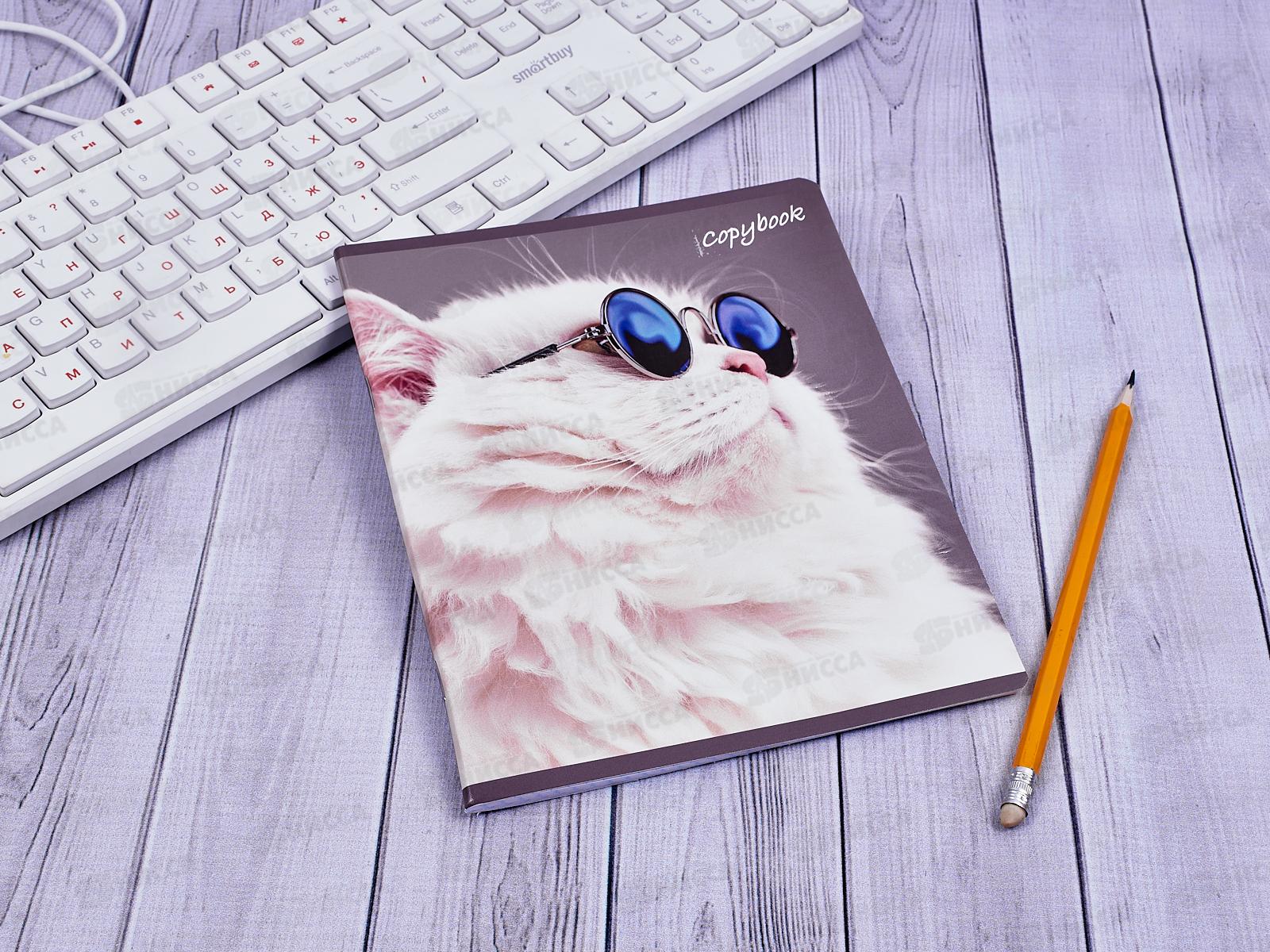 Тетрадь 48 листов клетка. ПЗБМ Кот Базилио 029211*5/50