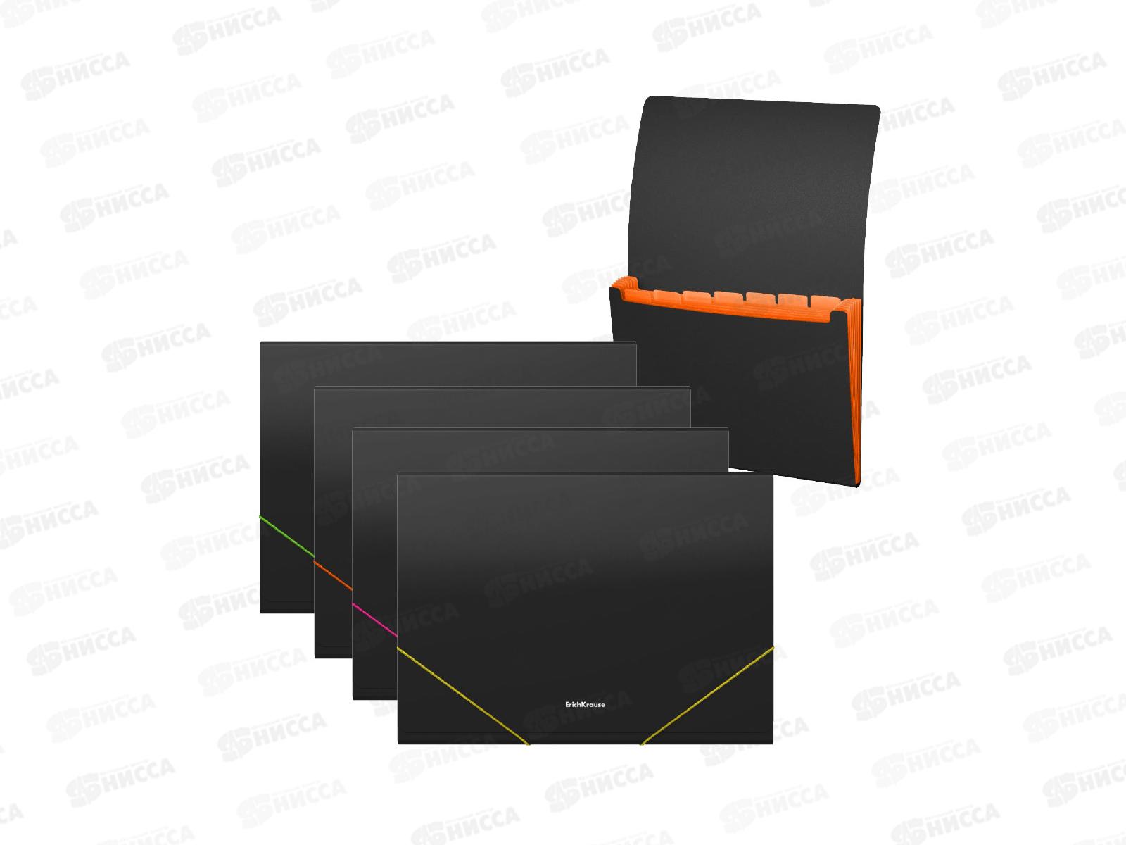 Папка-картотека А4  EK Matt  Accent 6 отделов в ассортименте. 50424