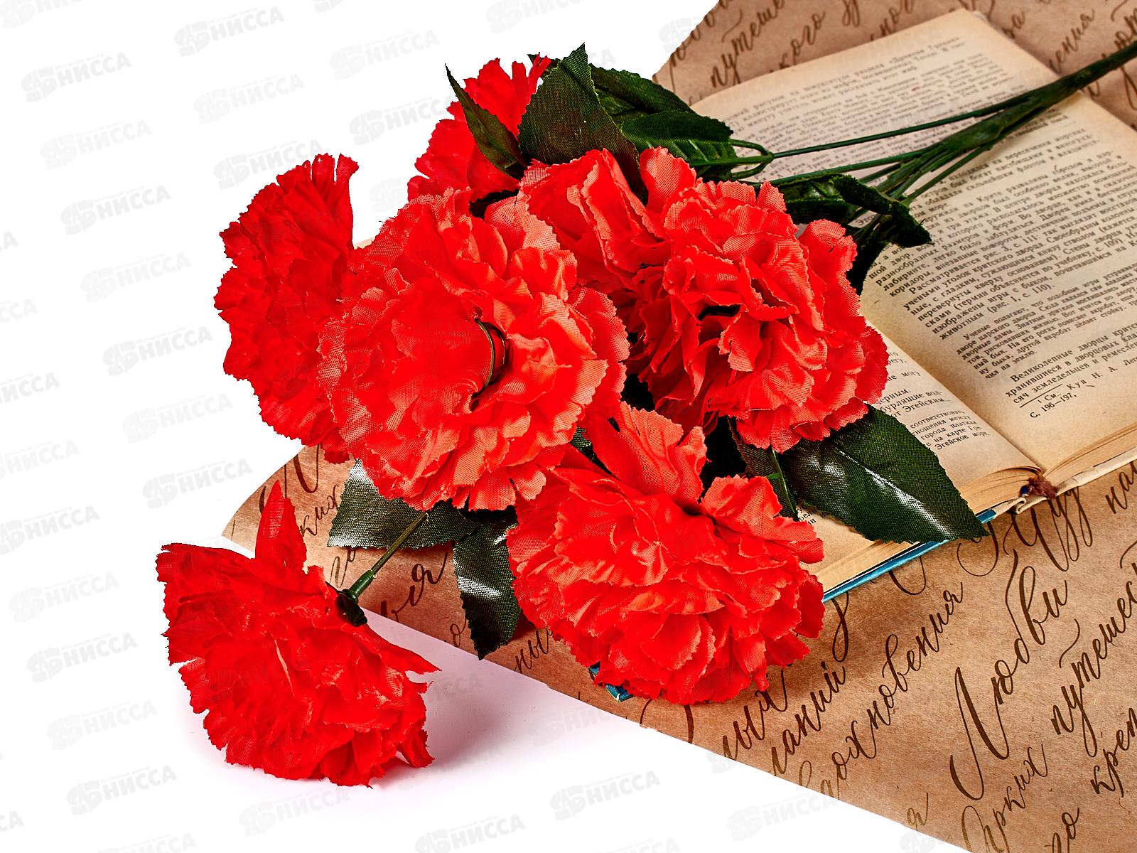 Букет Гвоздик 50см 6голов №А-15 *1*5/55