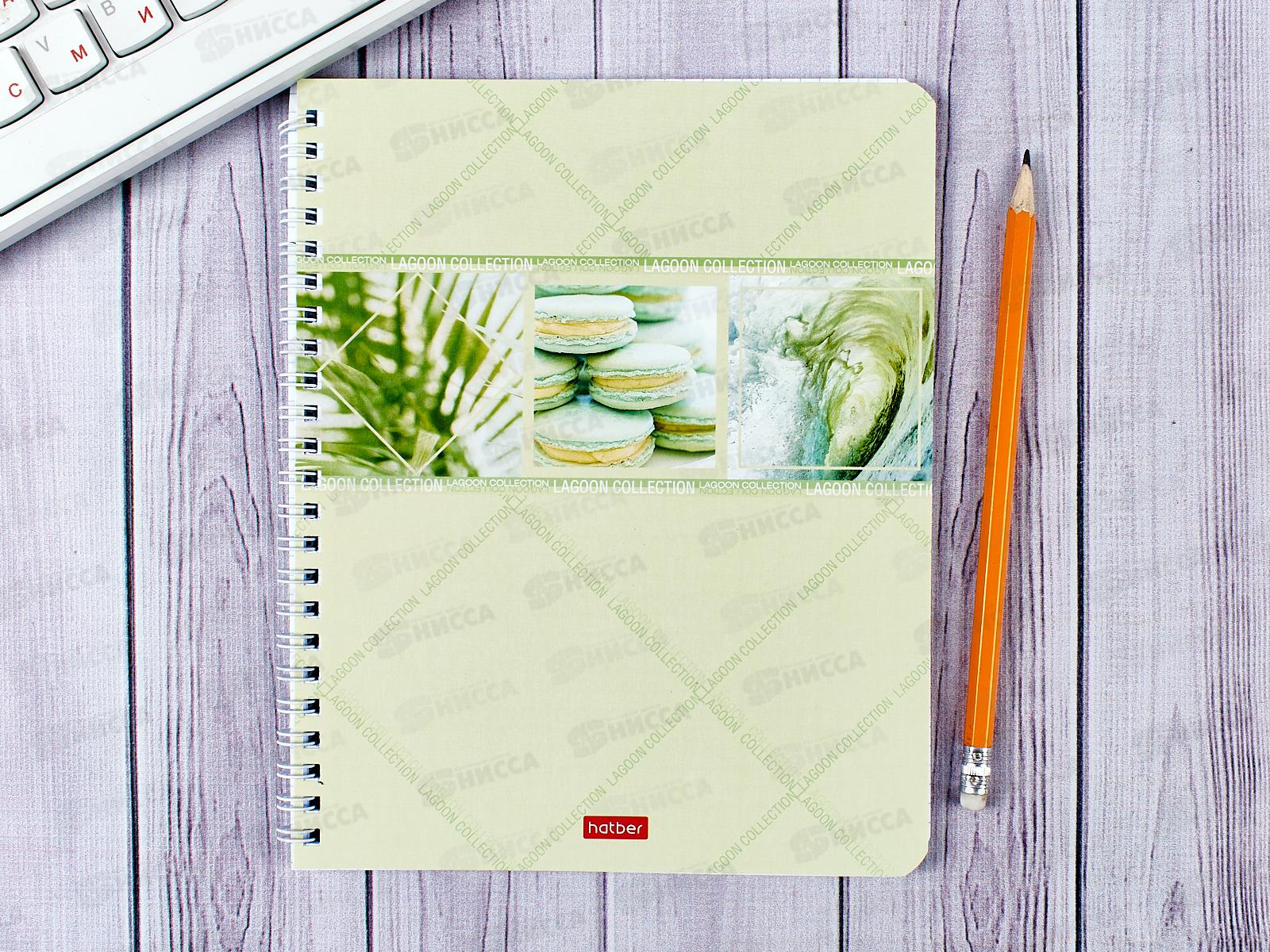 Тетрадь 48листов клетка  Hatber Нежнее нежного,греб. *4/96