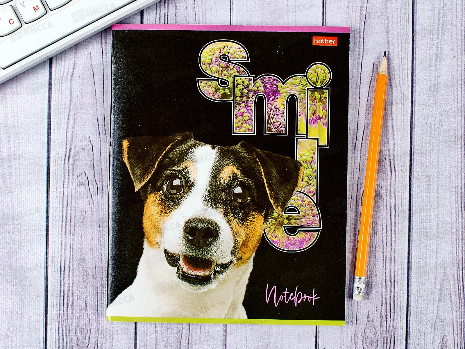 Тетрадь 80л кл. Hatber Улыбнись *7/70