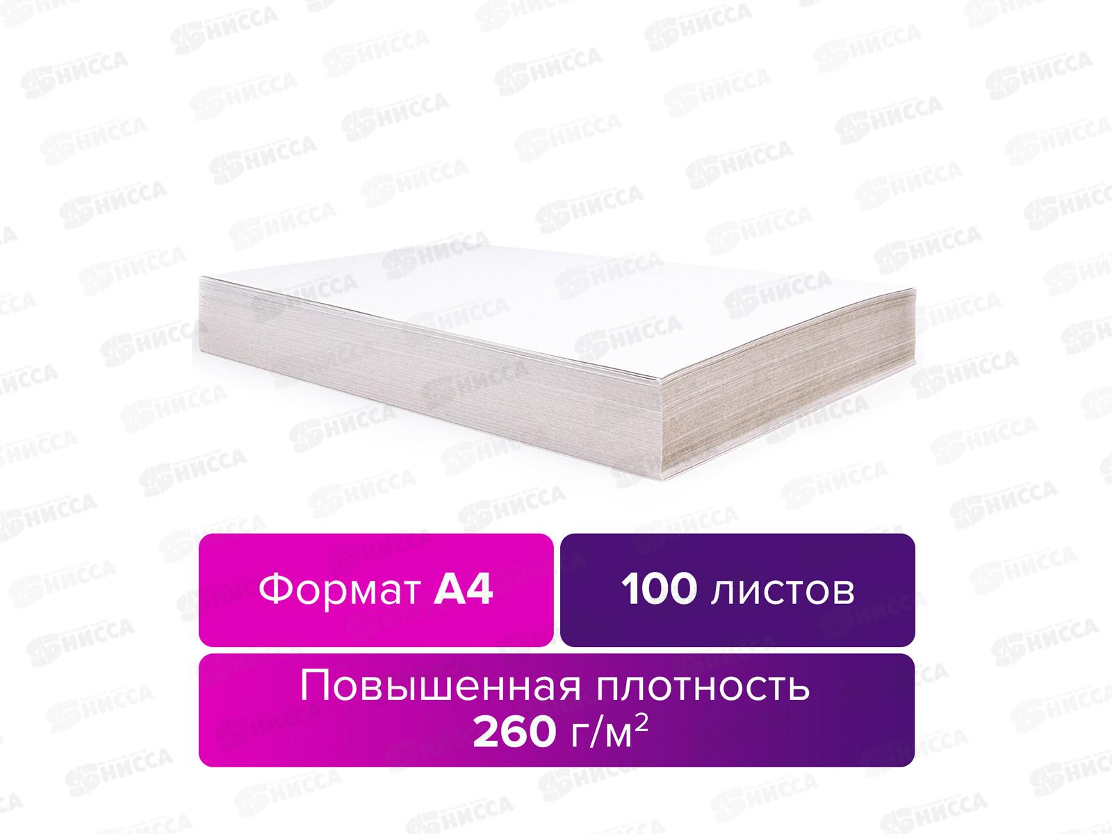 Картон переплетный BRAU А4,100л 124877*28