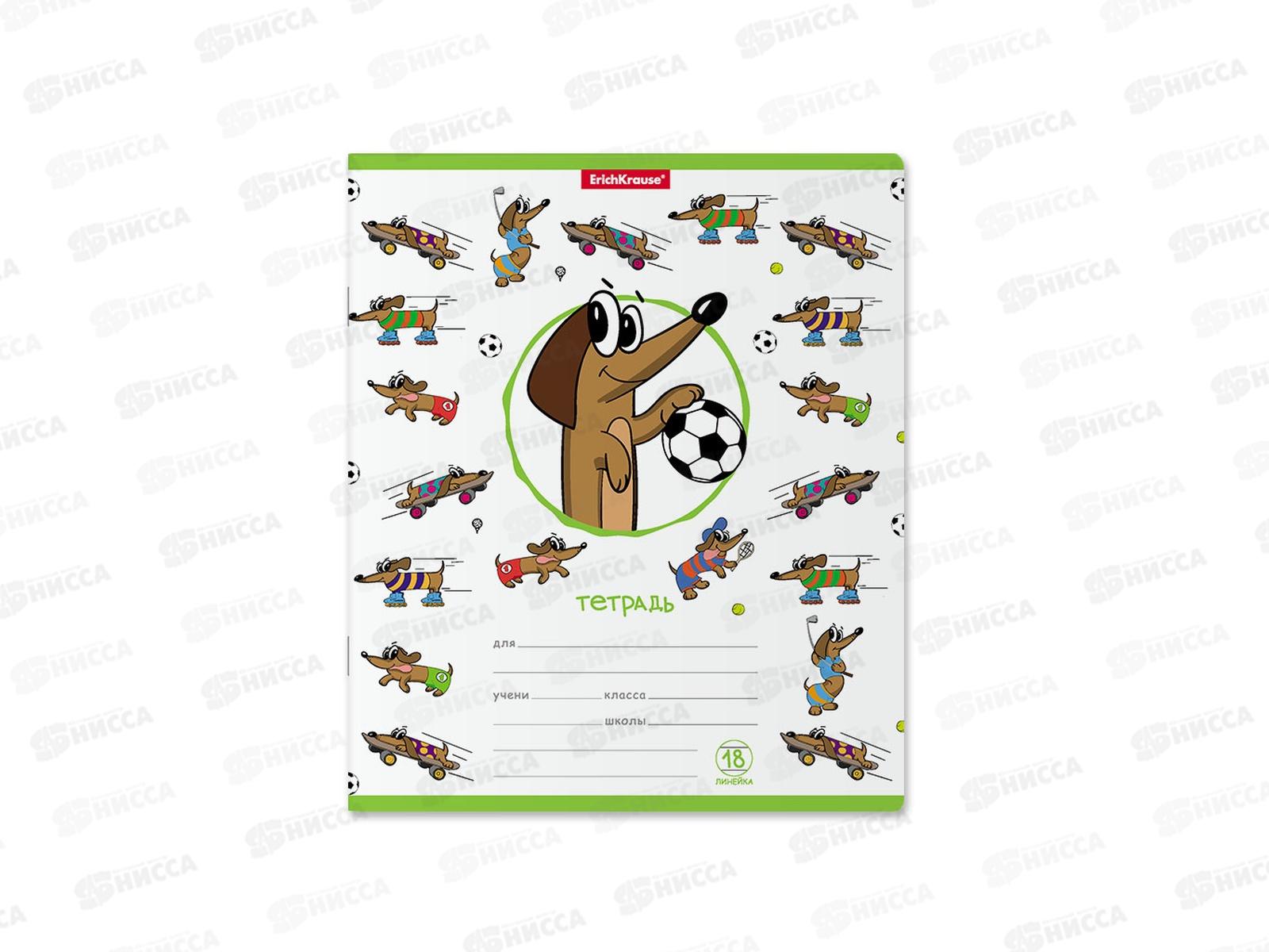 Тетрадь 18листов линия ПОЛИ Busy Dogs  54192*25/200
